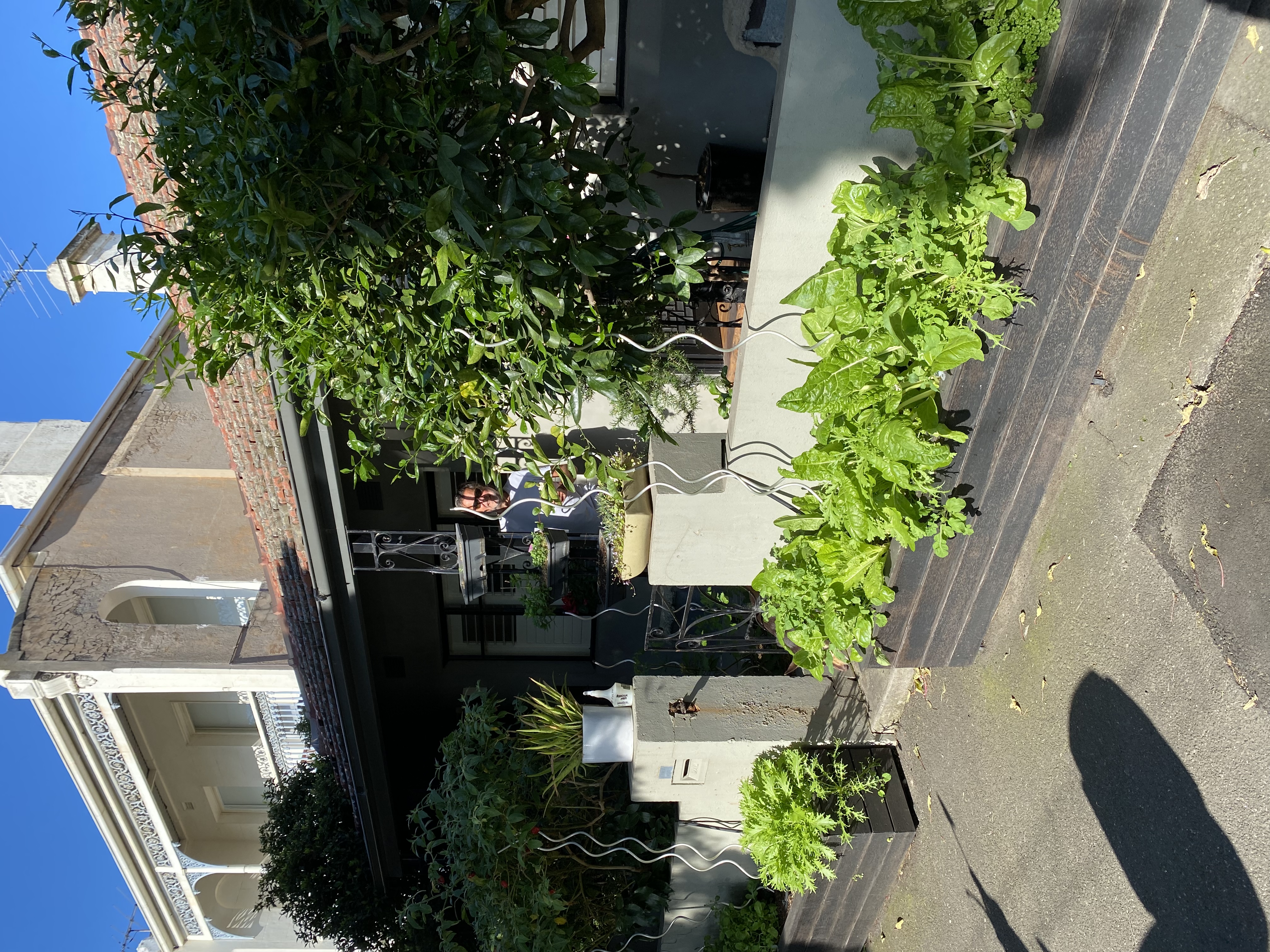 image-20