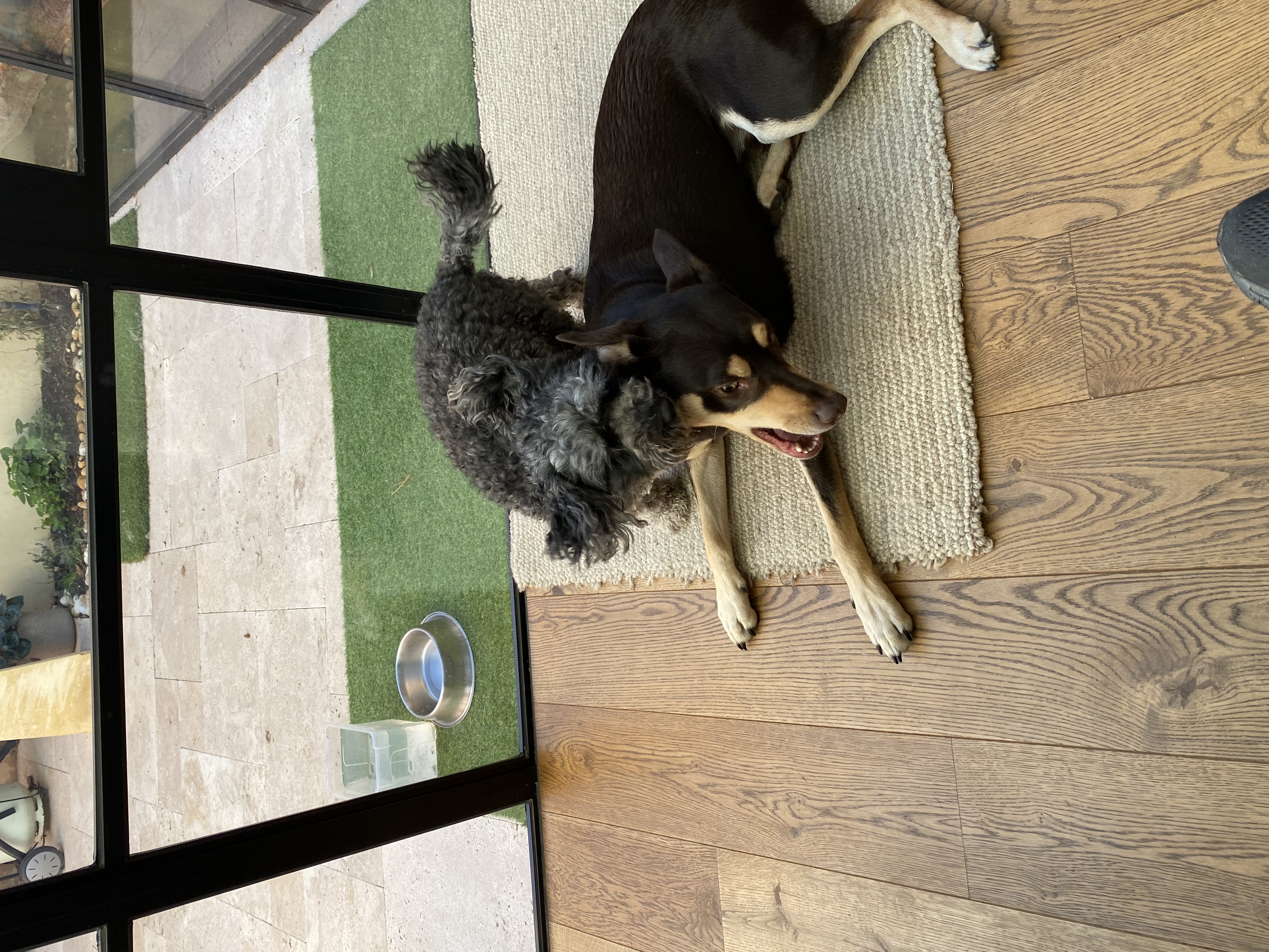 image-9