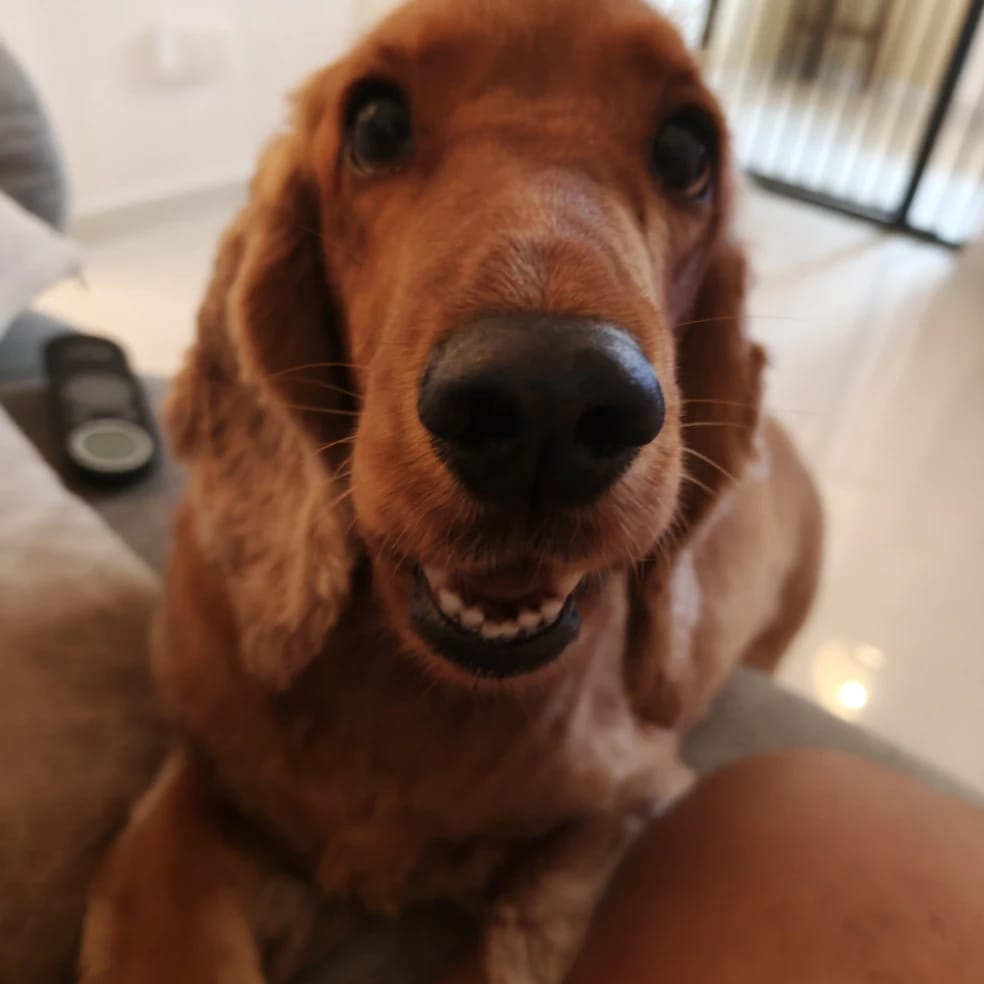 Ruby
