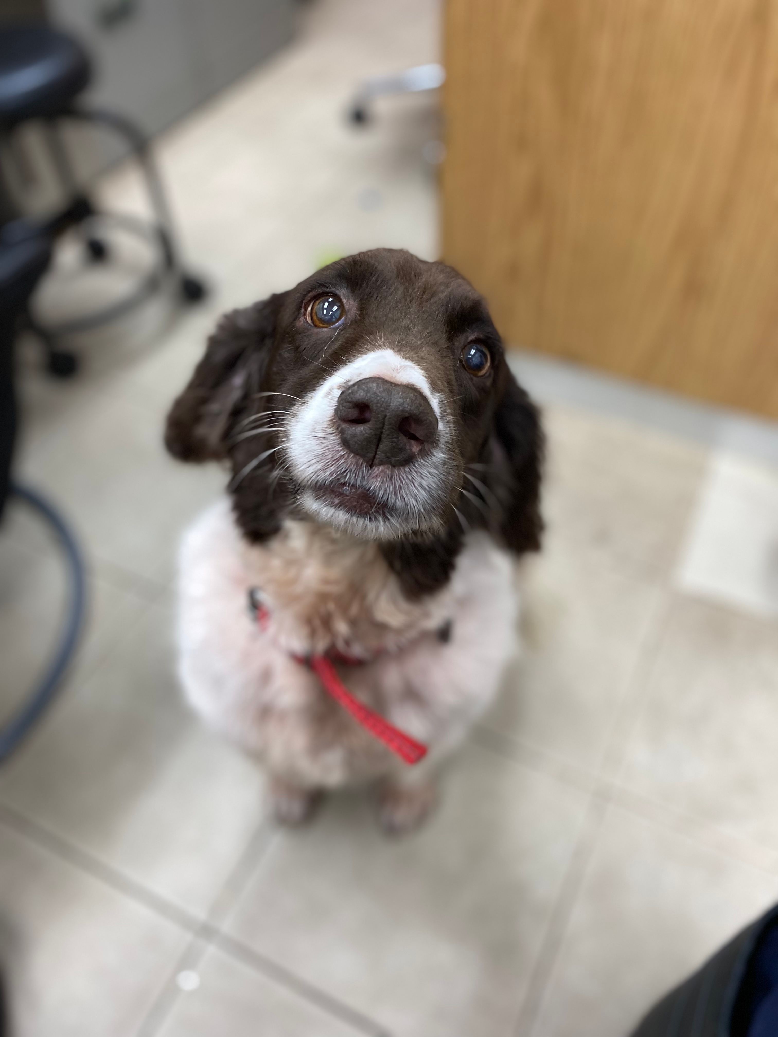 image-2
