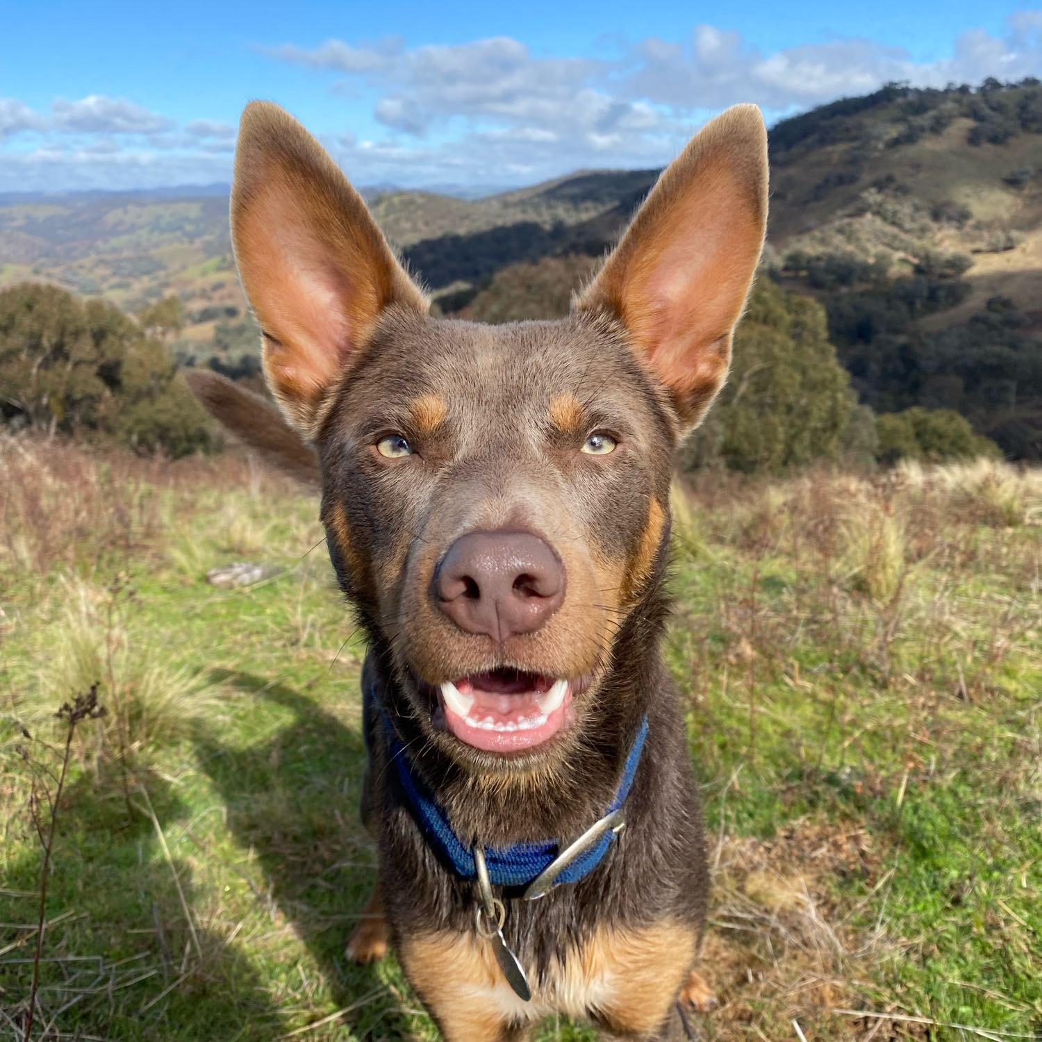 Zeus