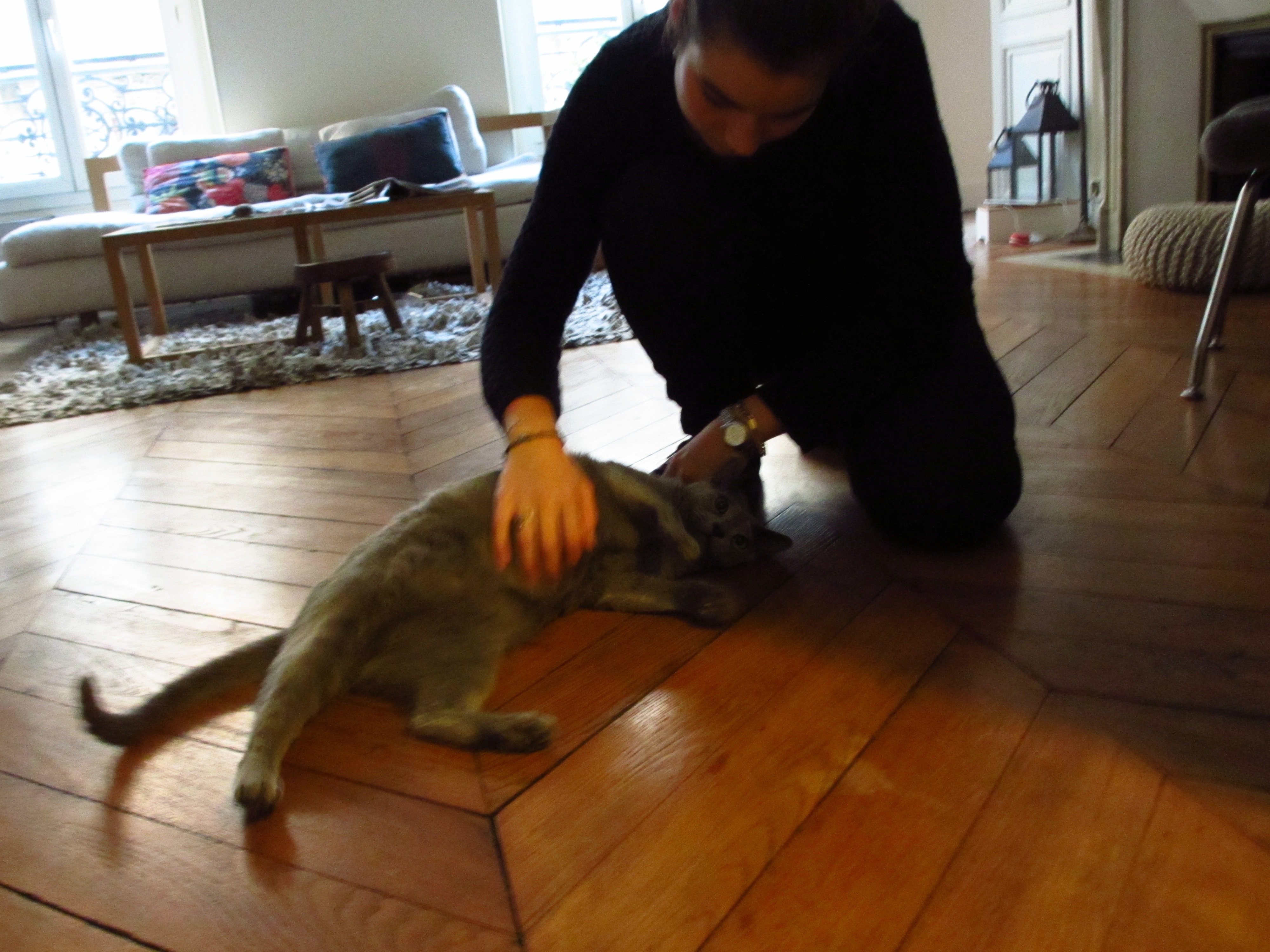 image-7