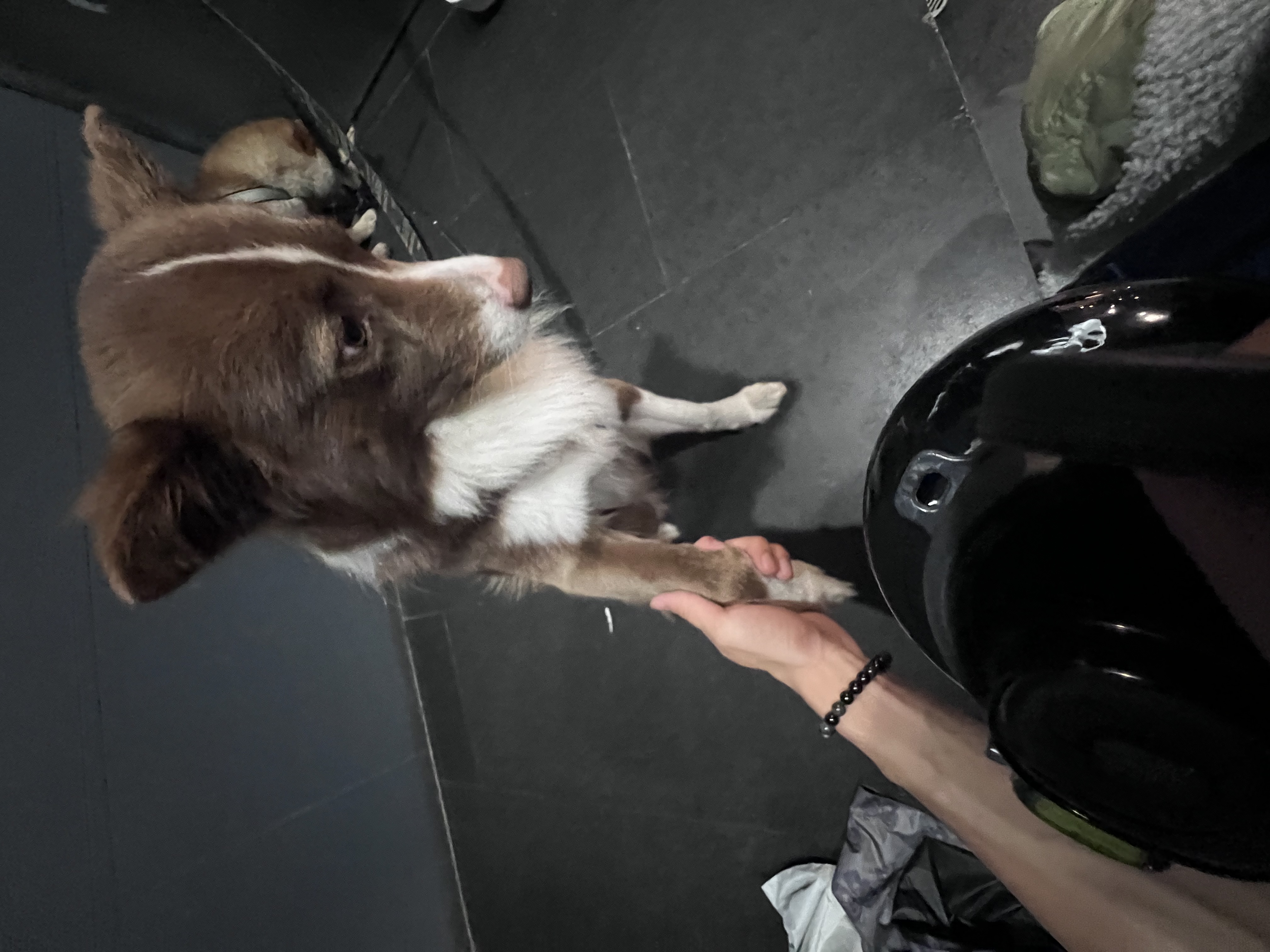 image-9