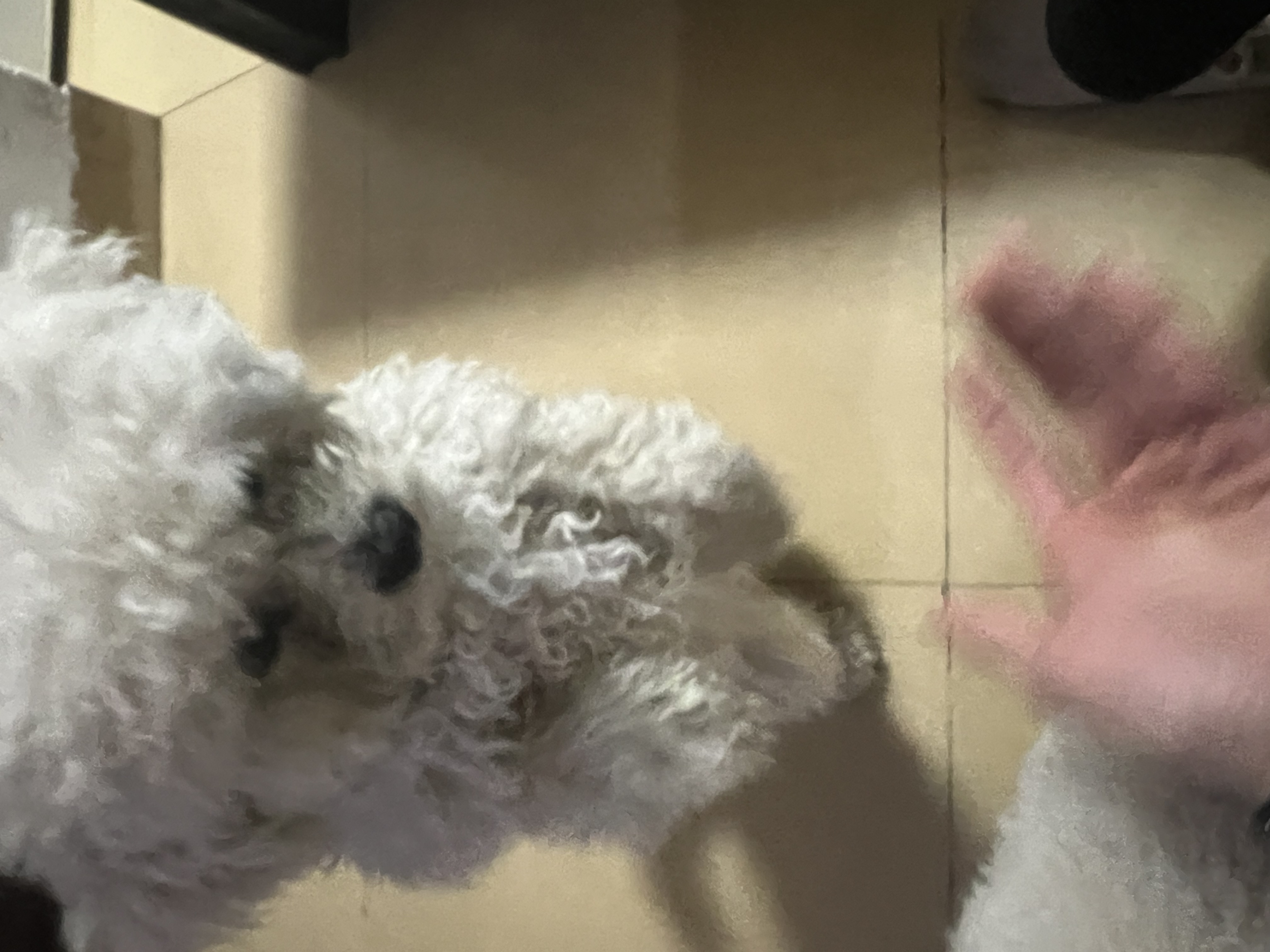 image-6