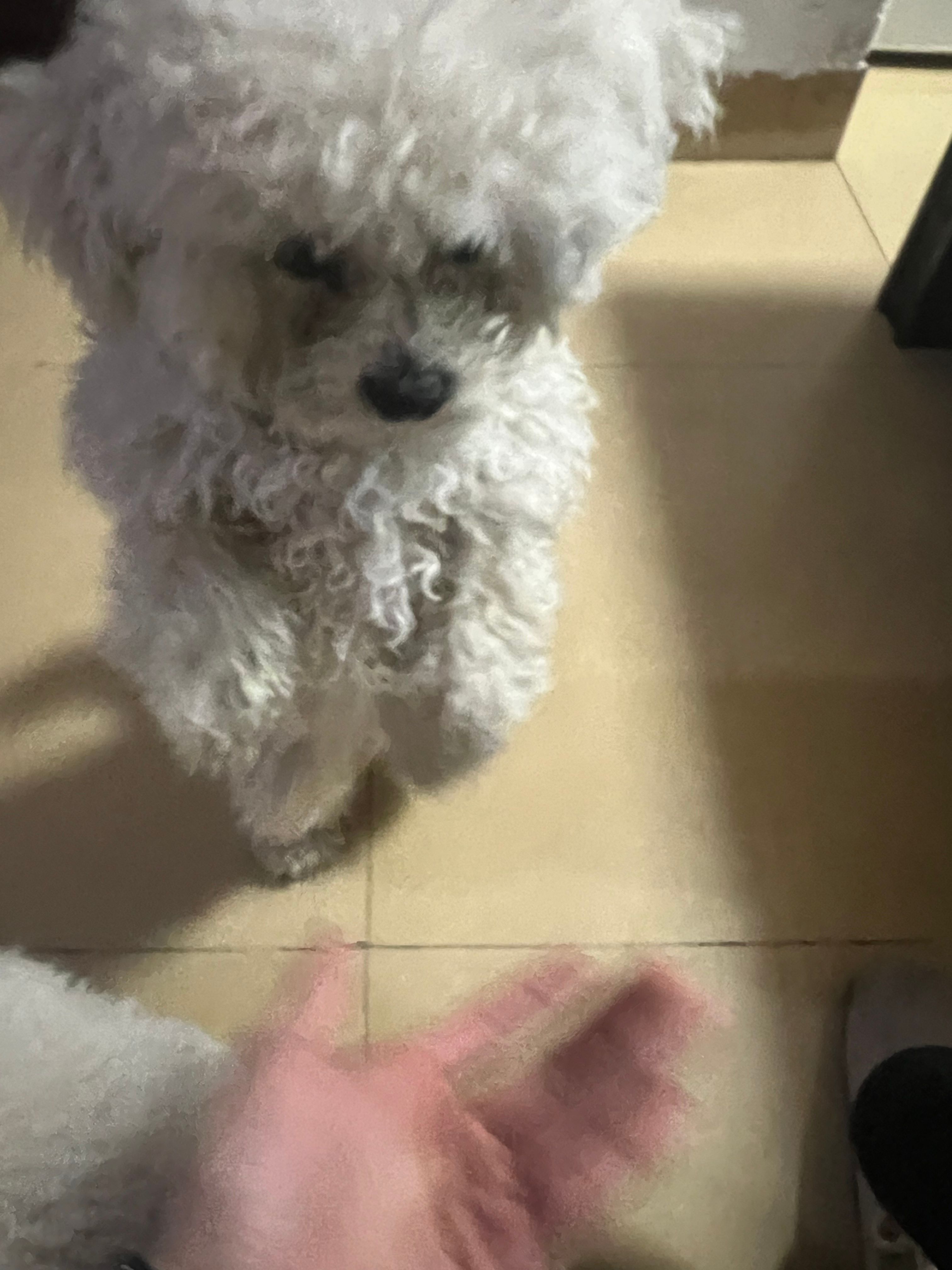 image-6