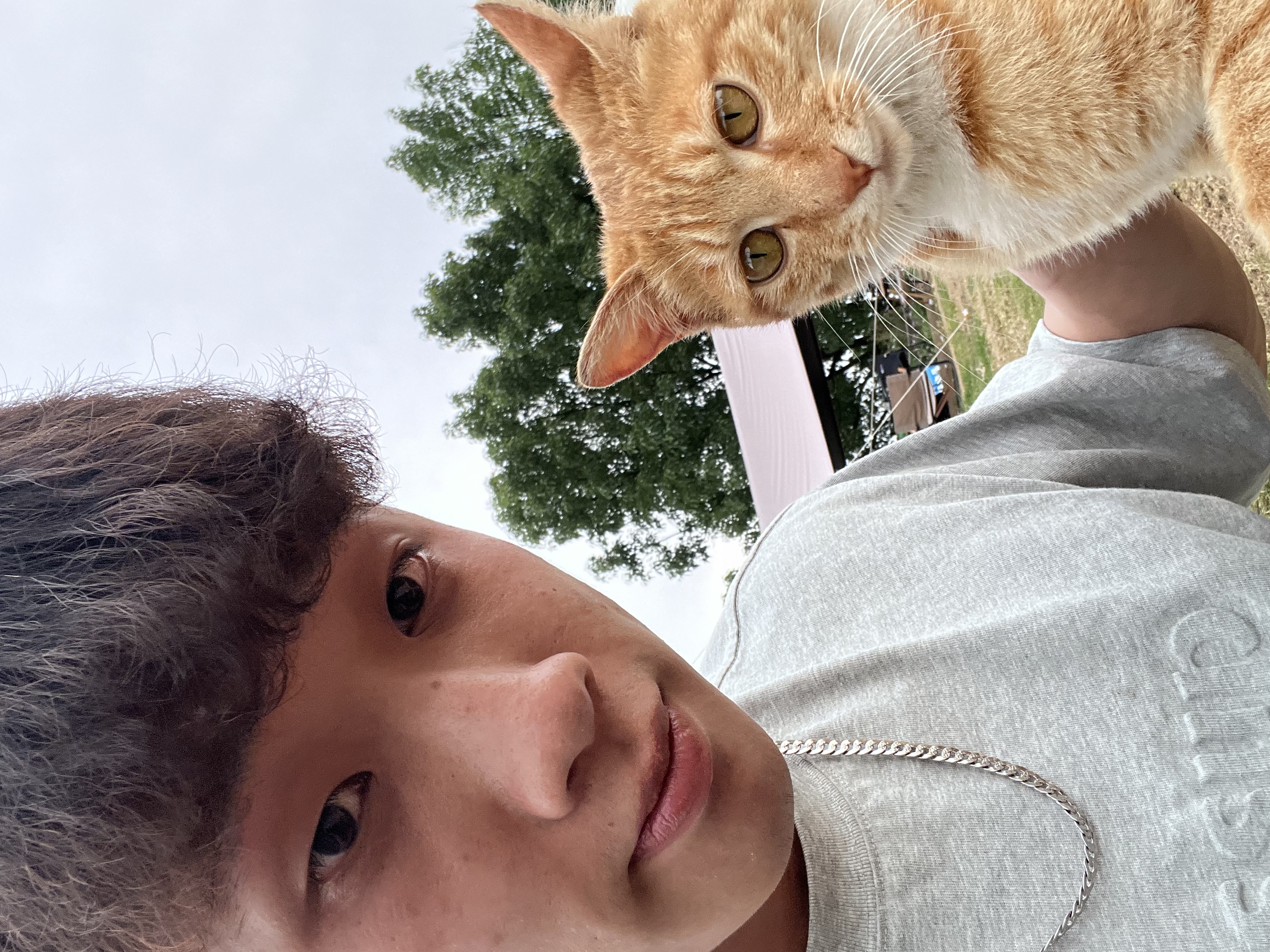 image-14