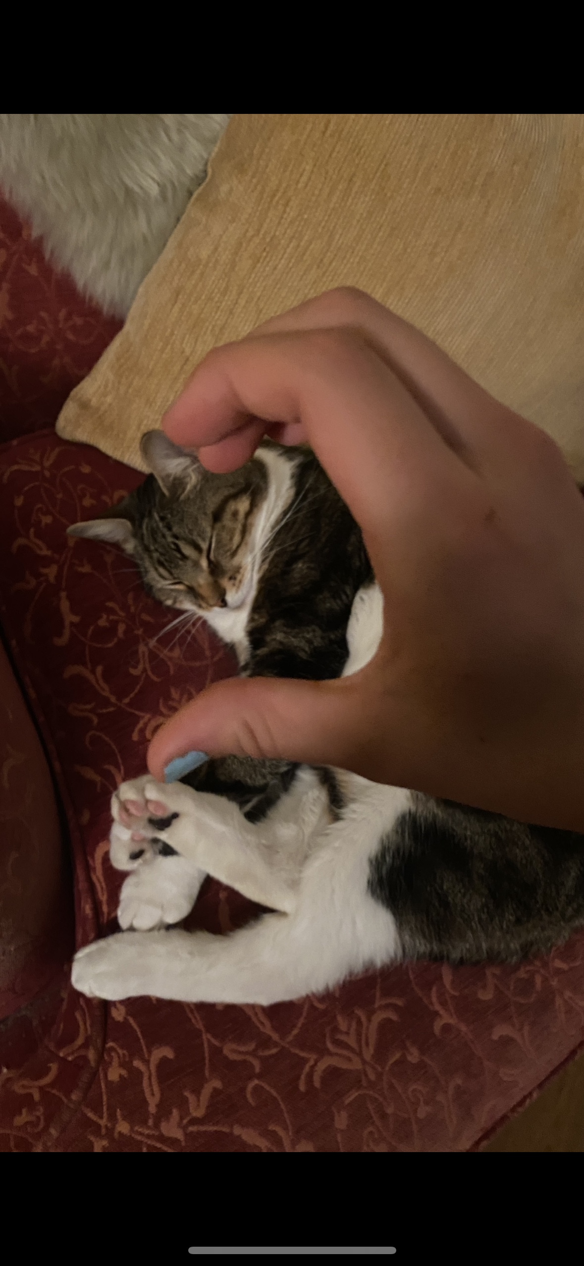 image-6