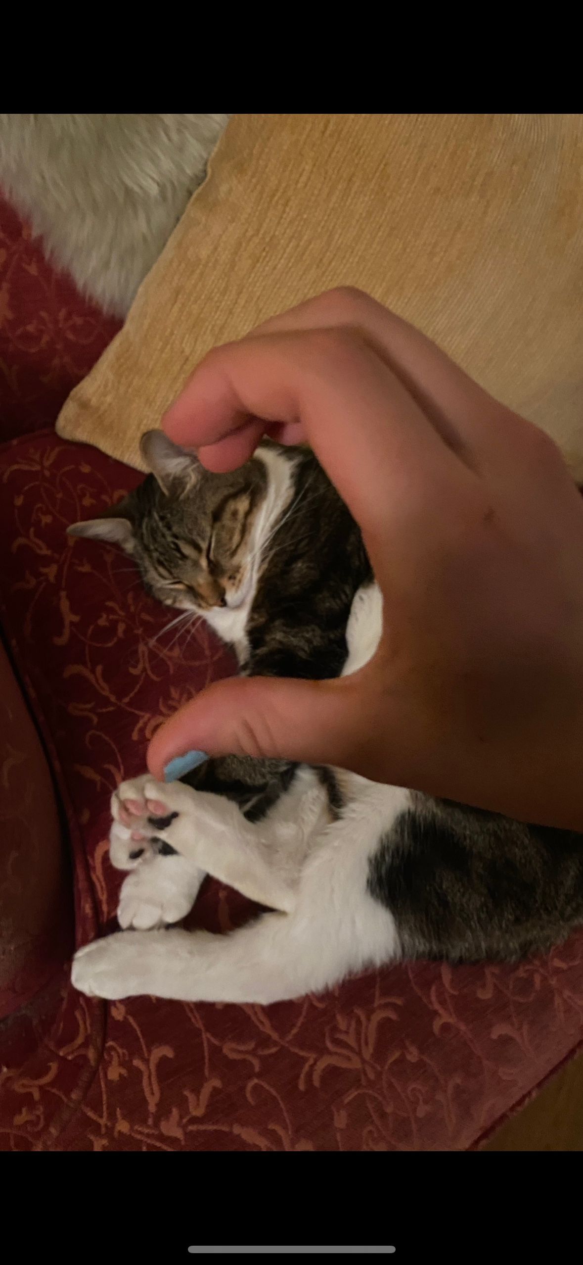 image-6