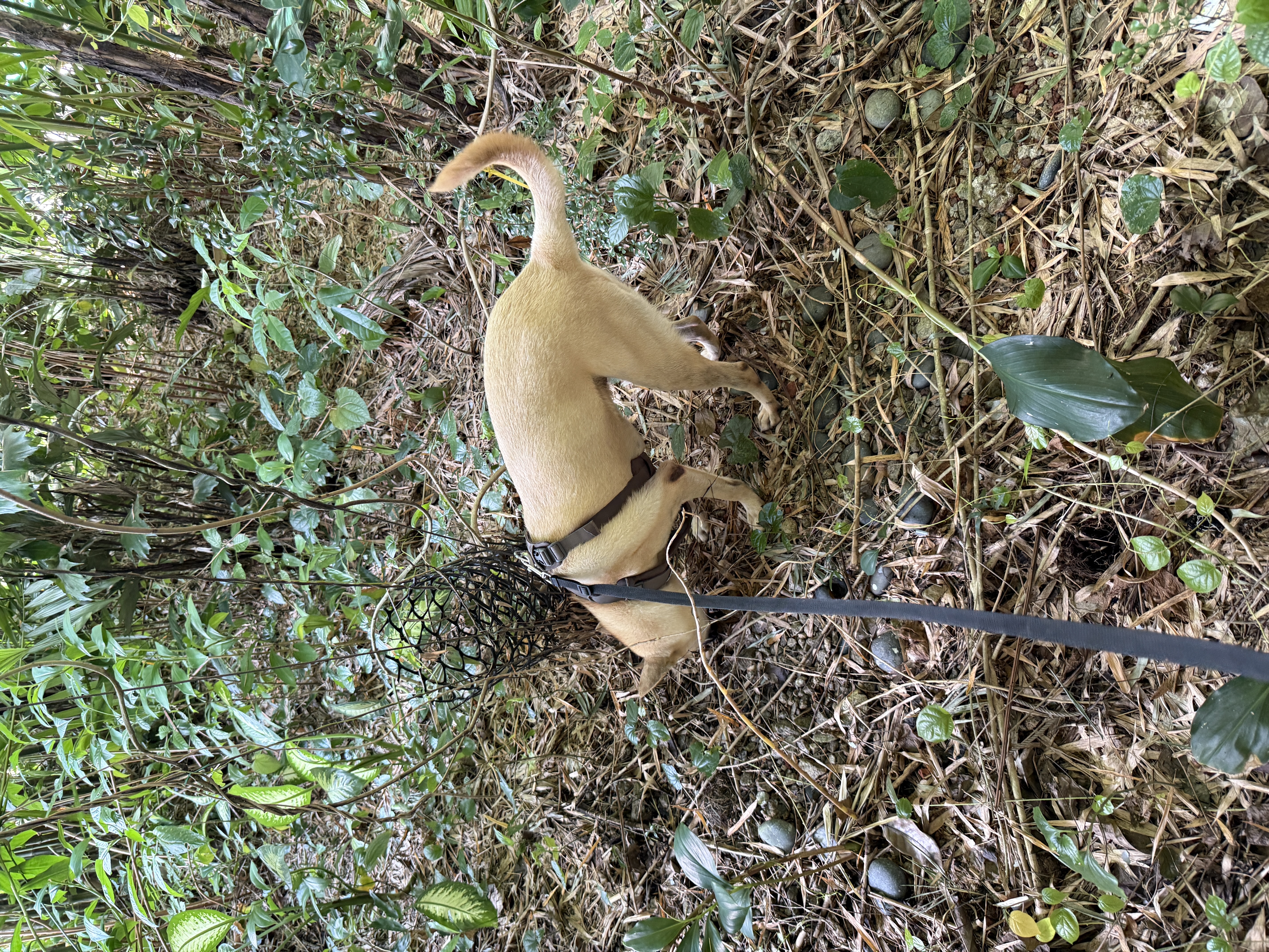 image-5