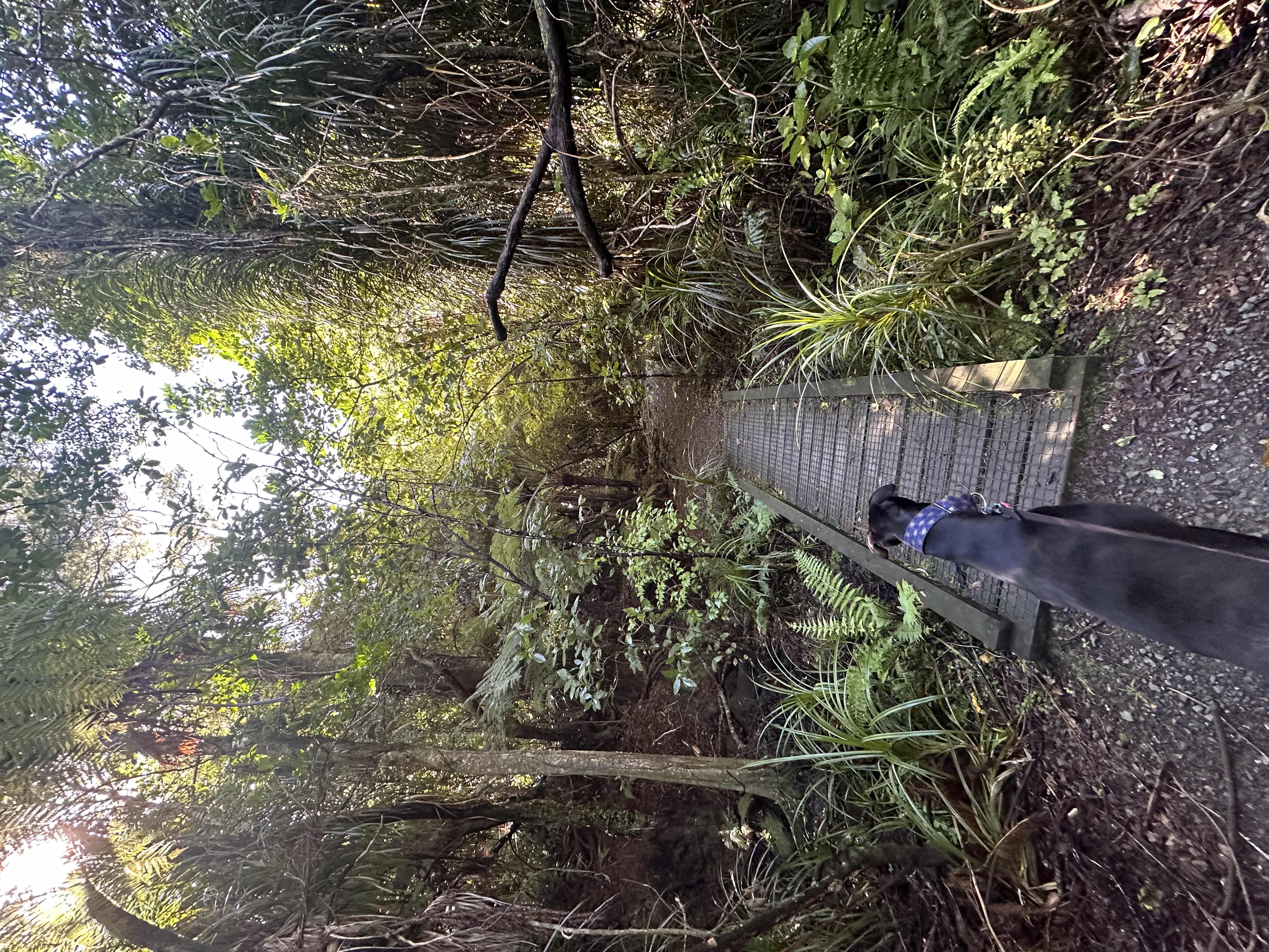 image-8