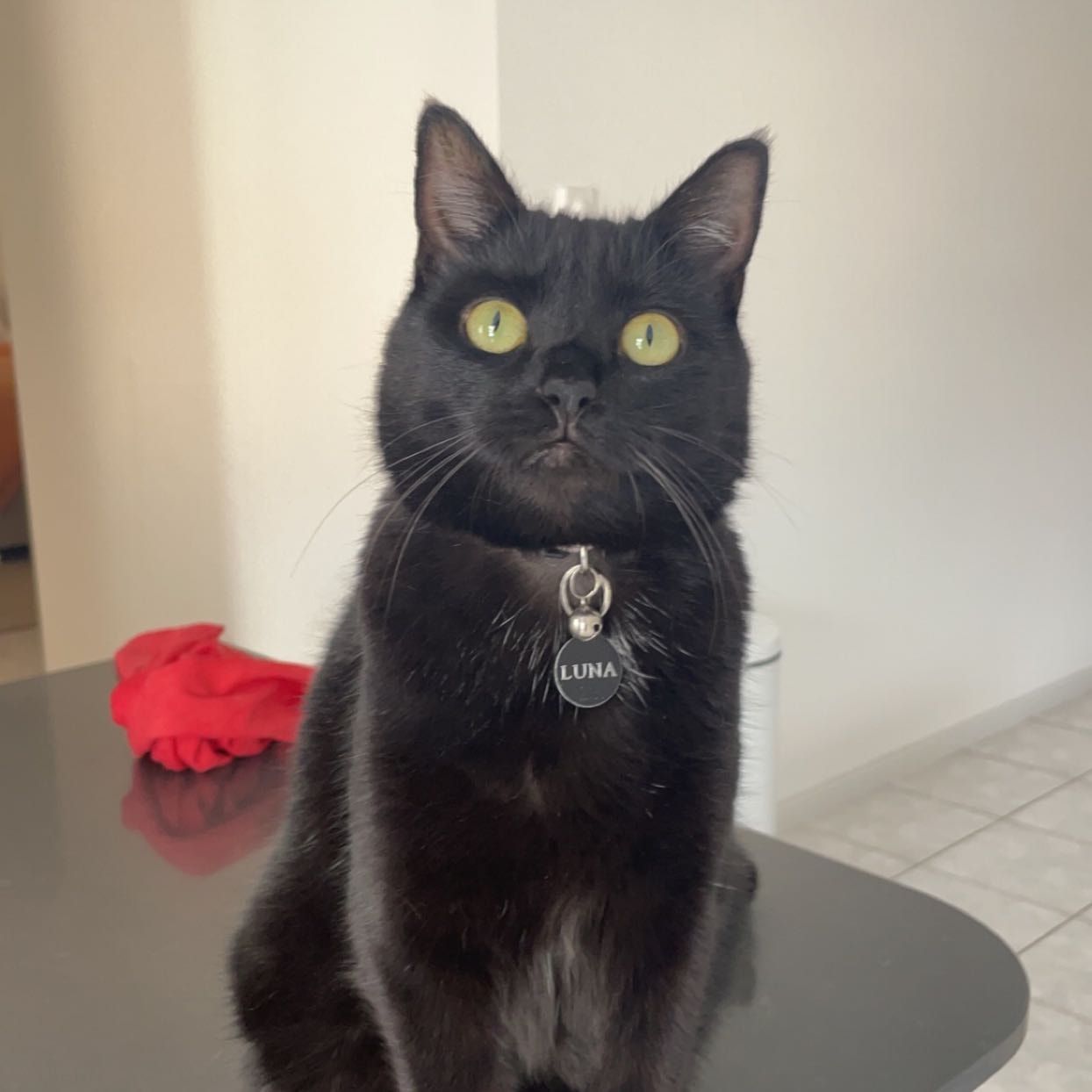 Luna