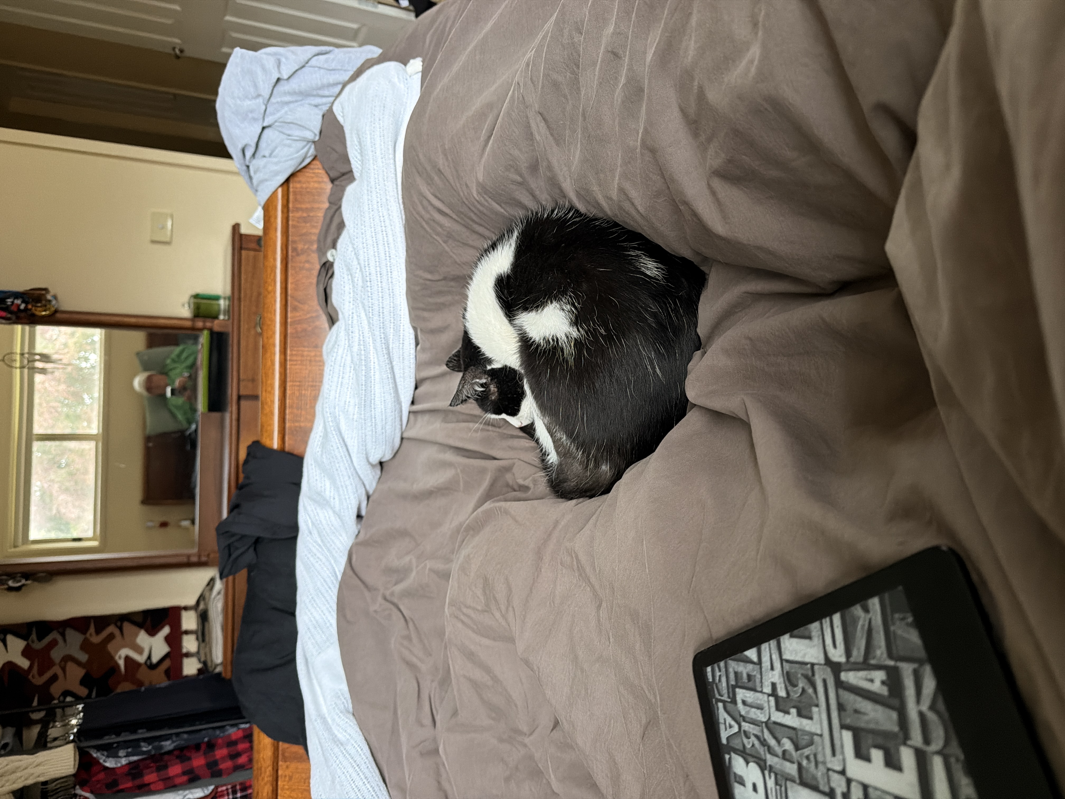 image-11