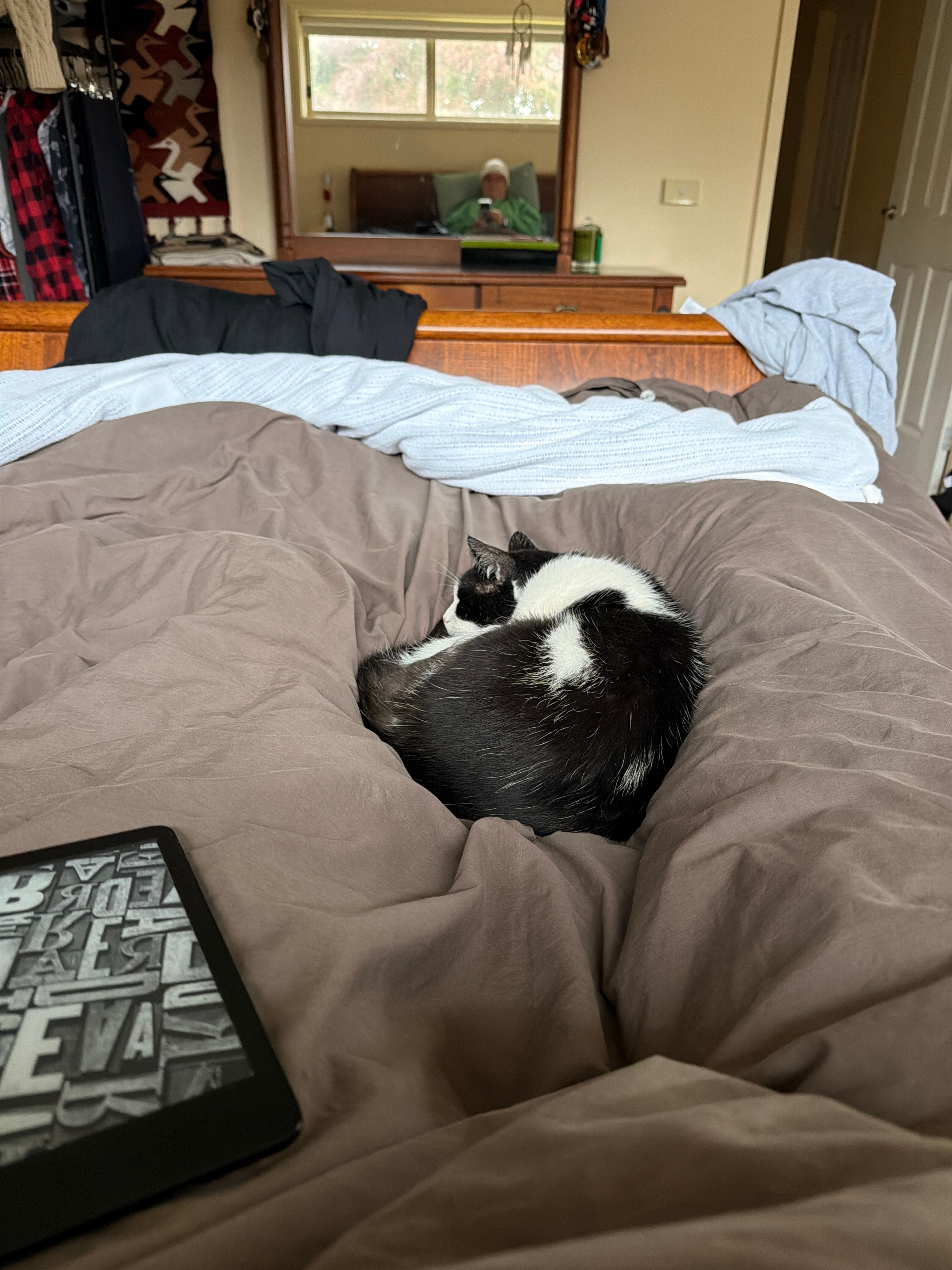 image-11
