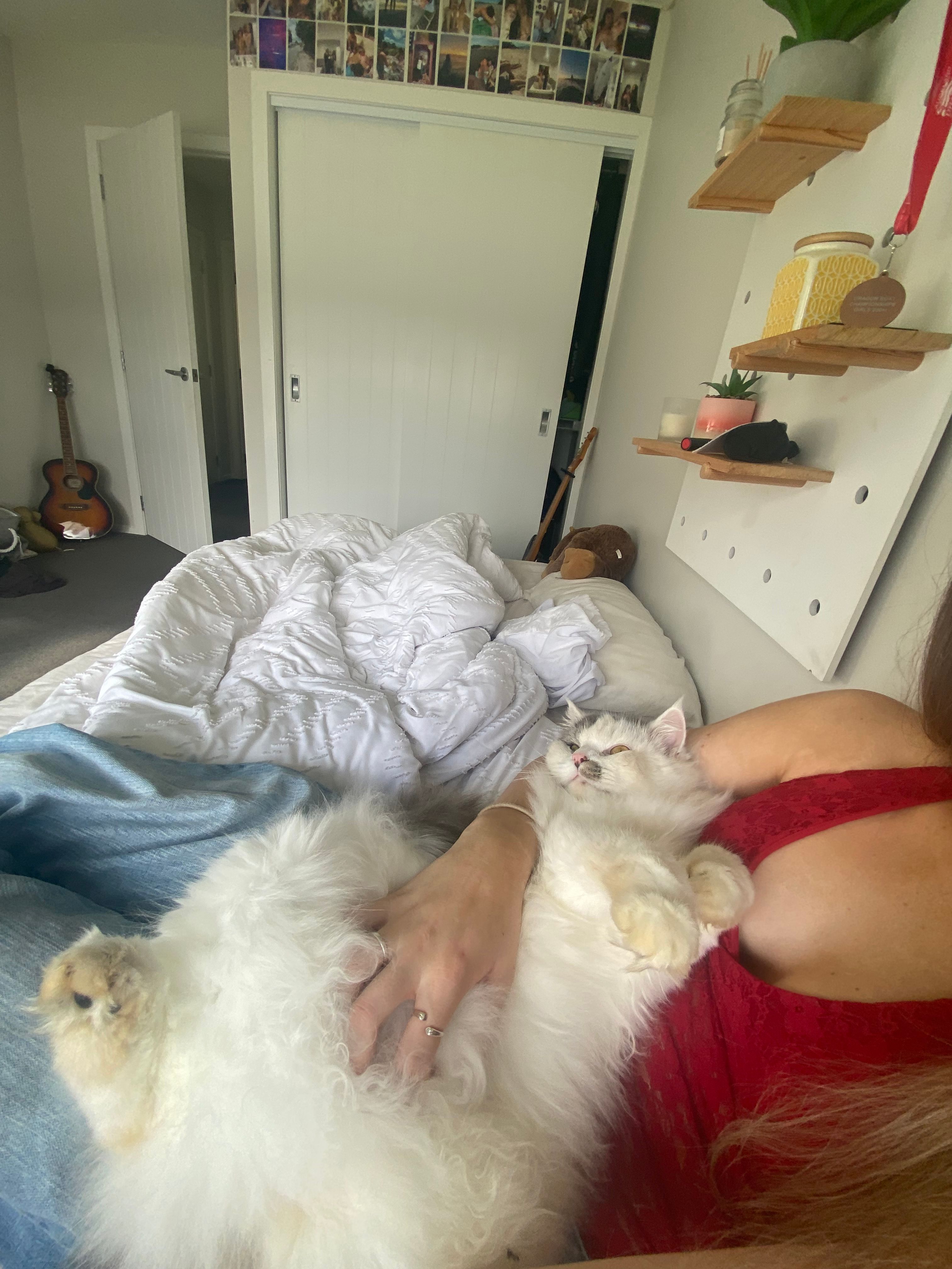 image-8