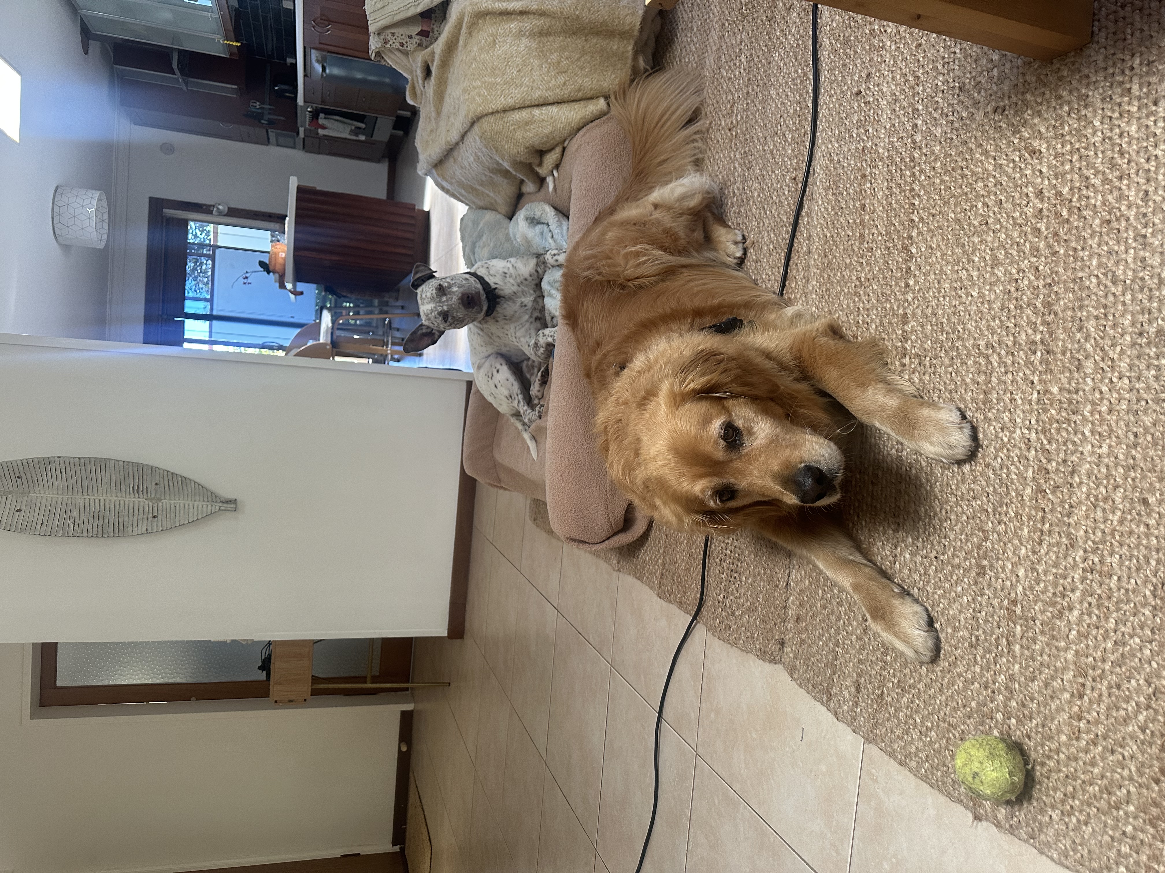 image-33
