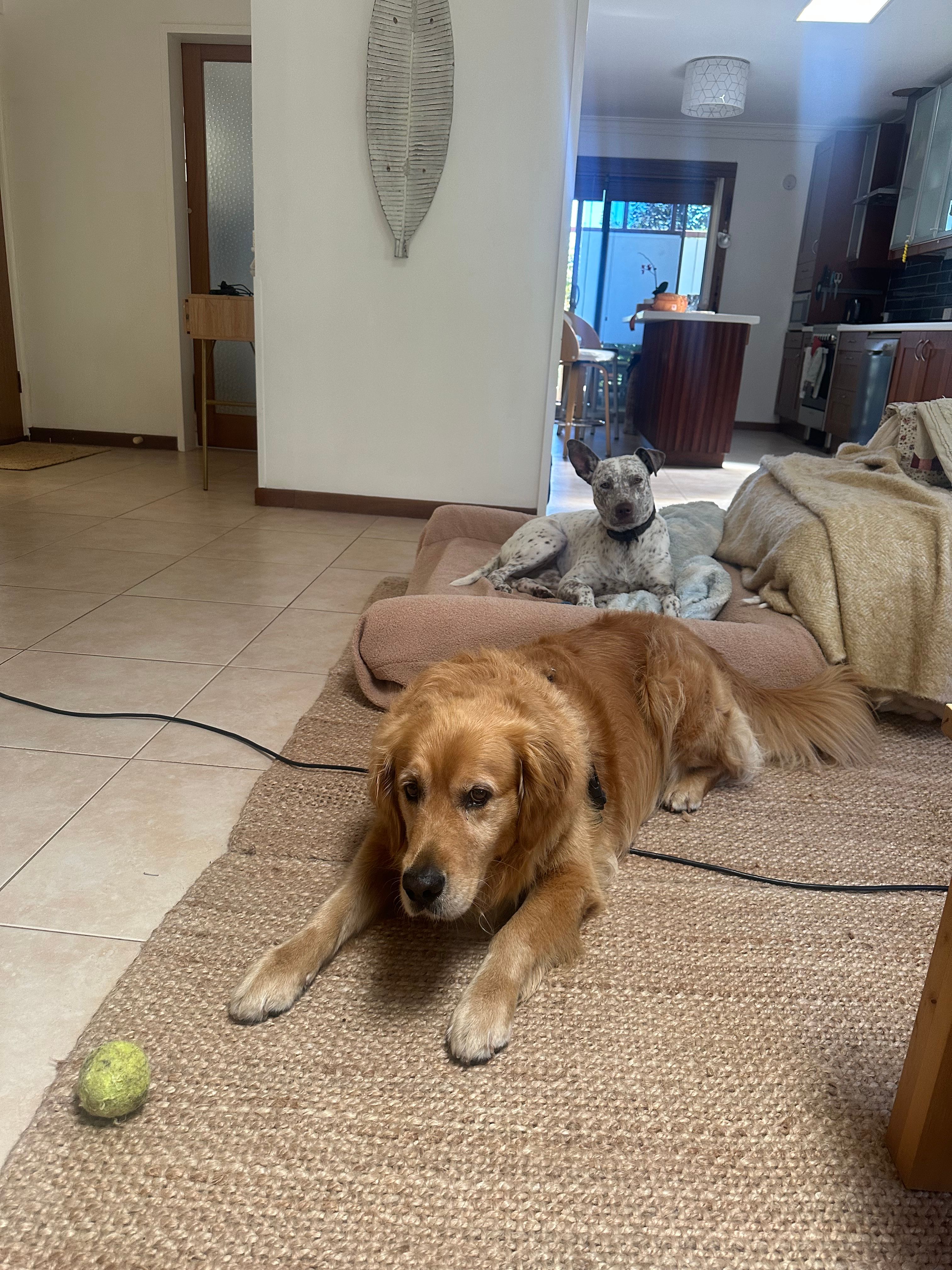 image-33