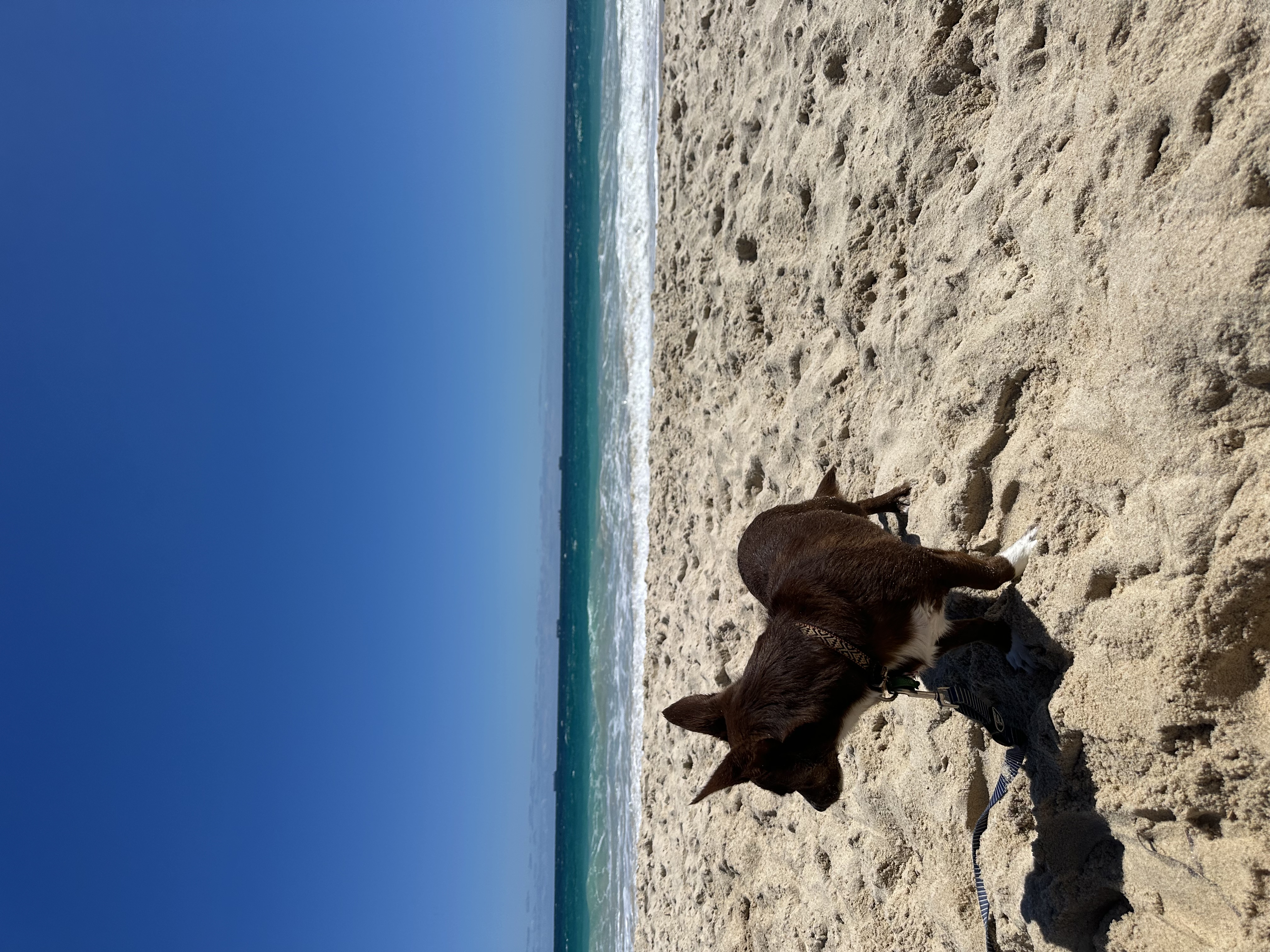 image-5