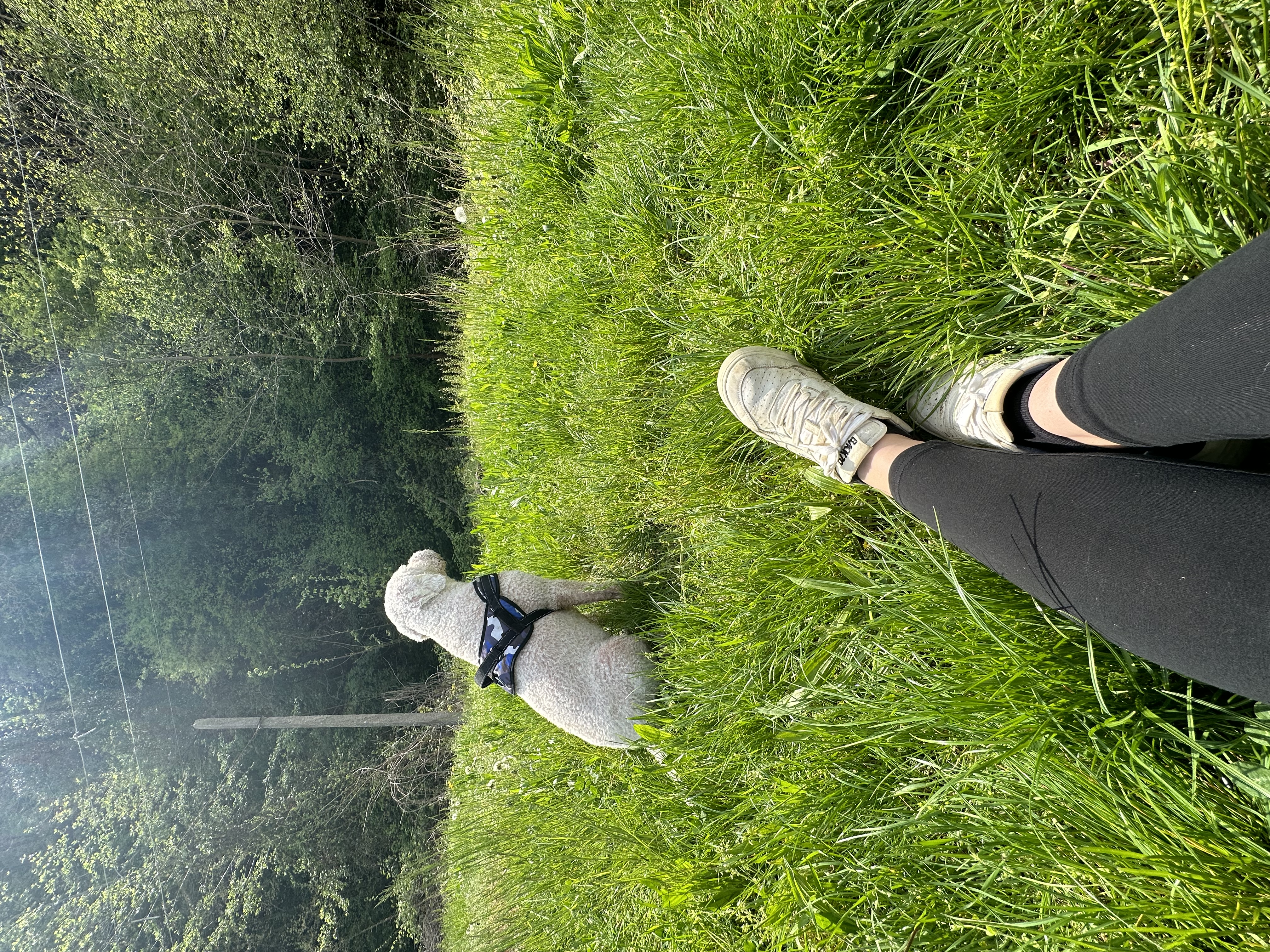 image-15