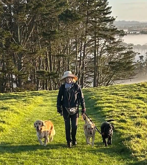 image-8