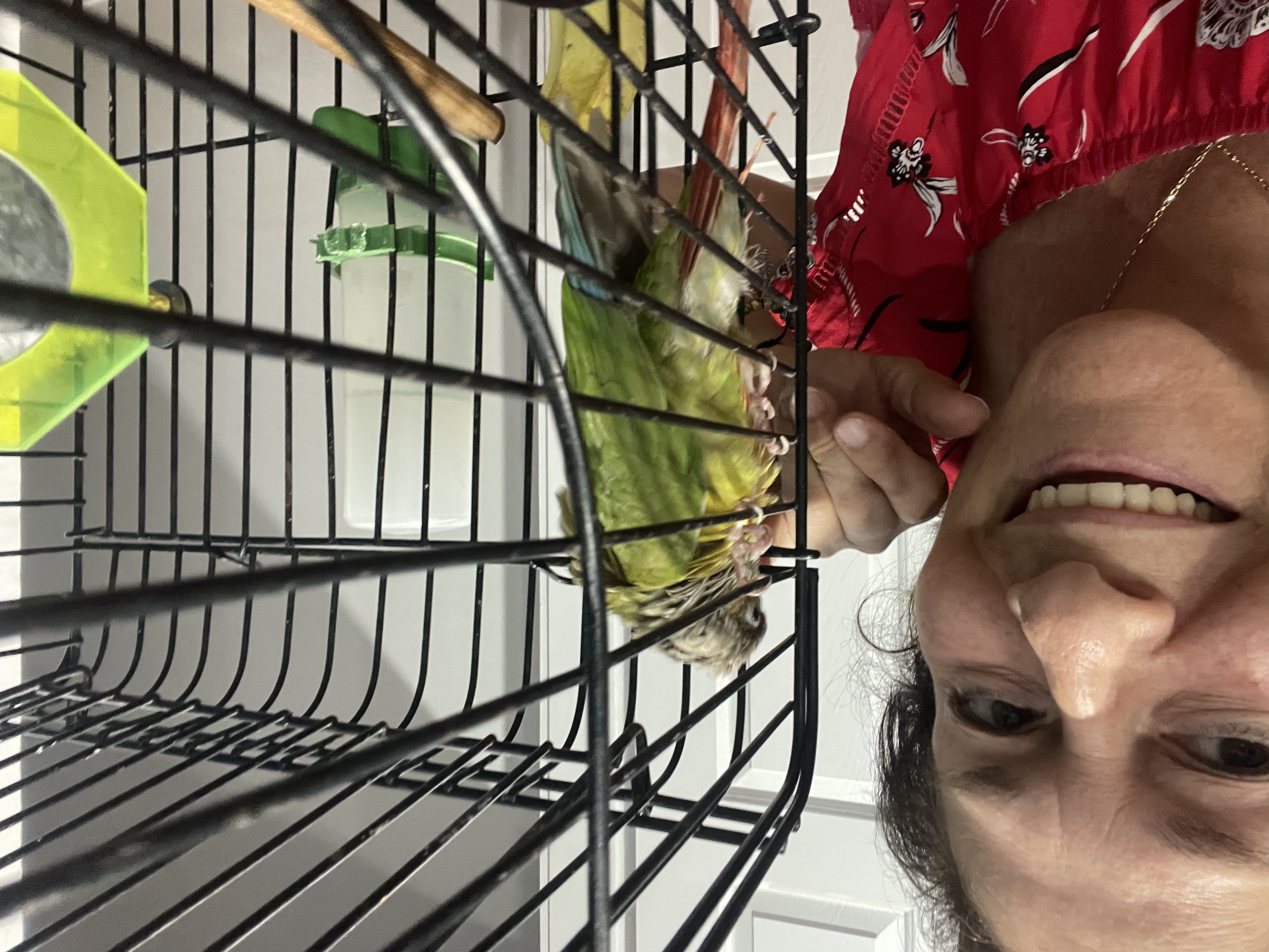 image-11