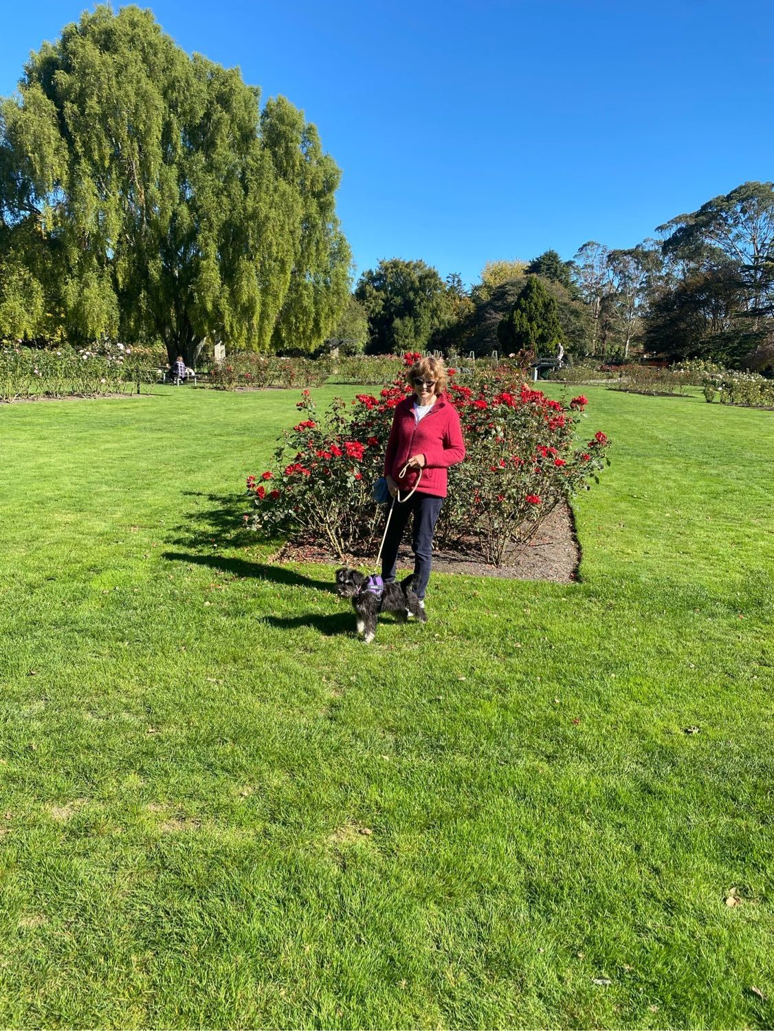 image-6
