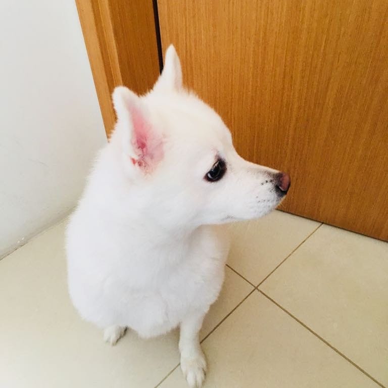 Yuki