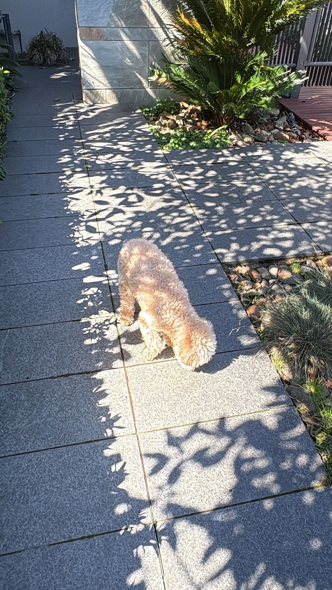 image-18