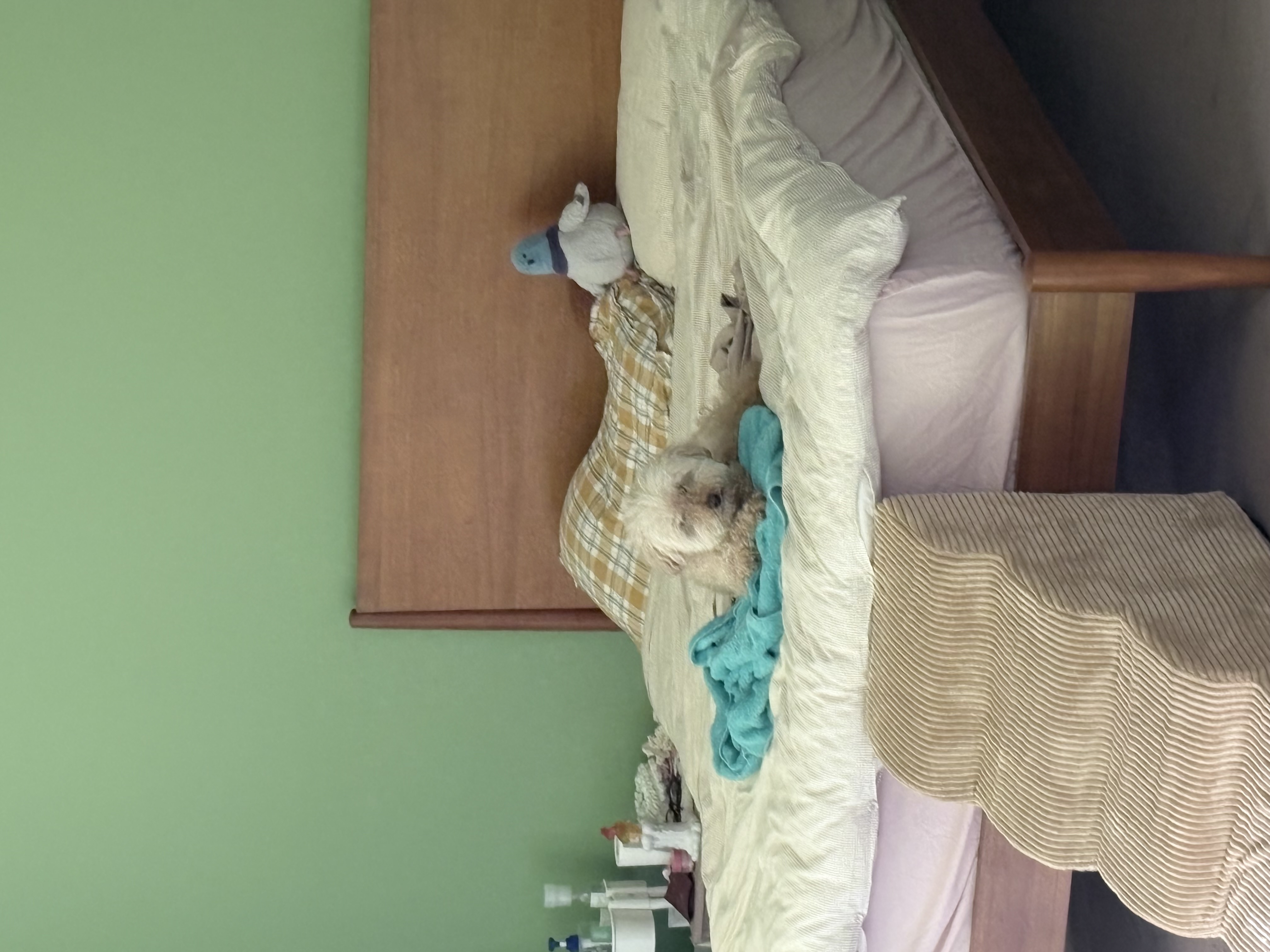 image-14