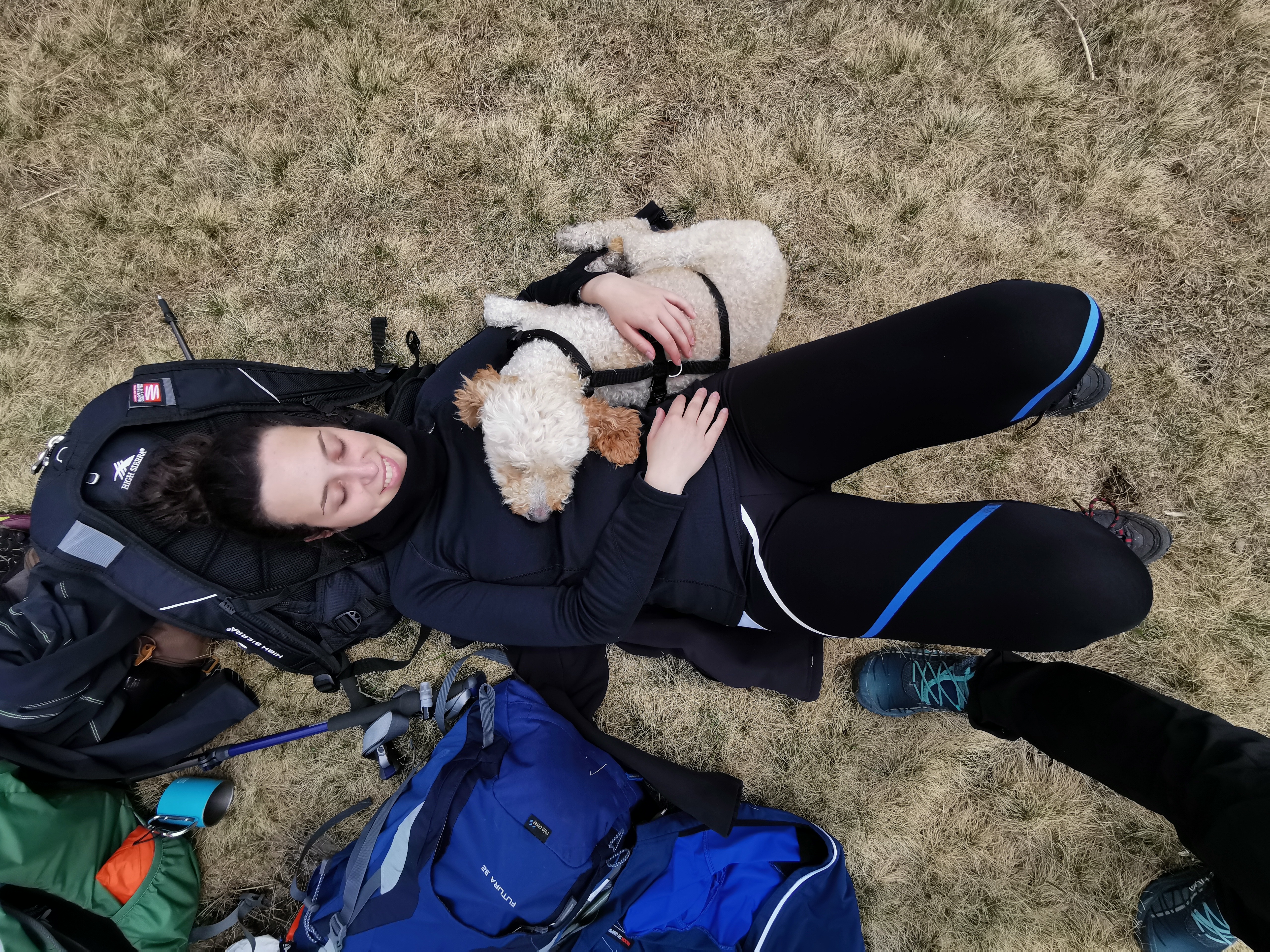 image-2