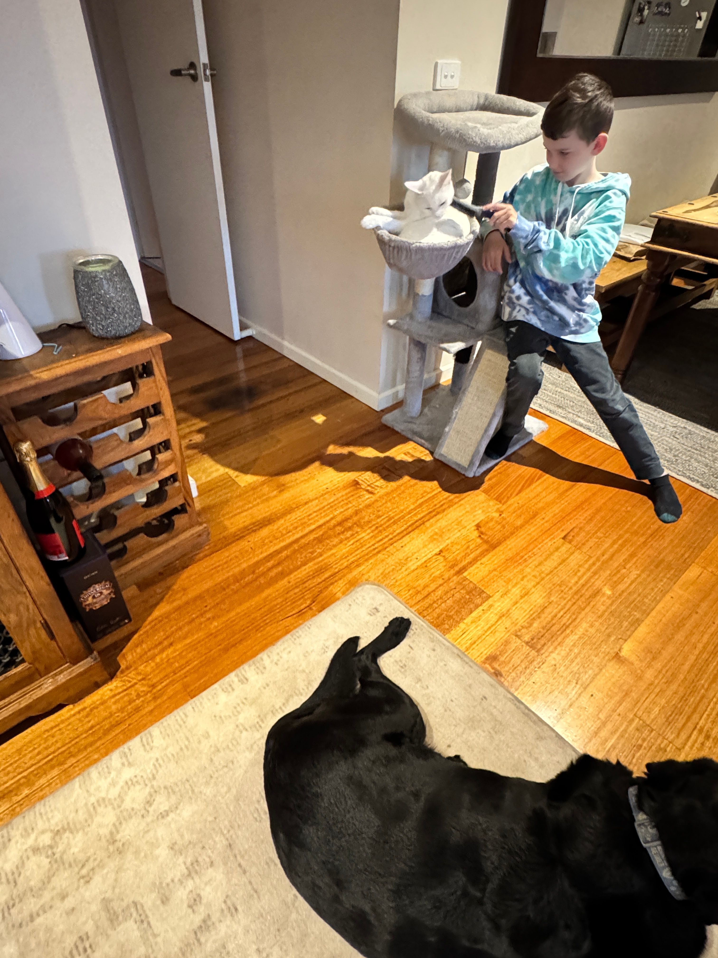 image-13