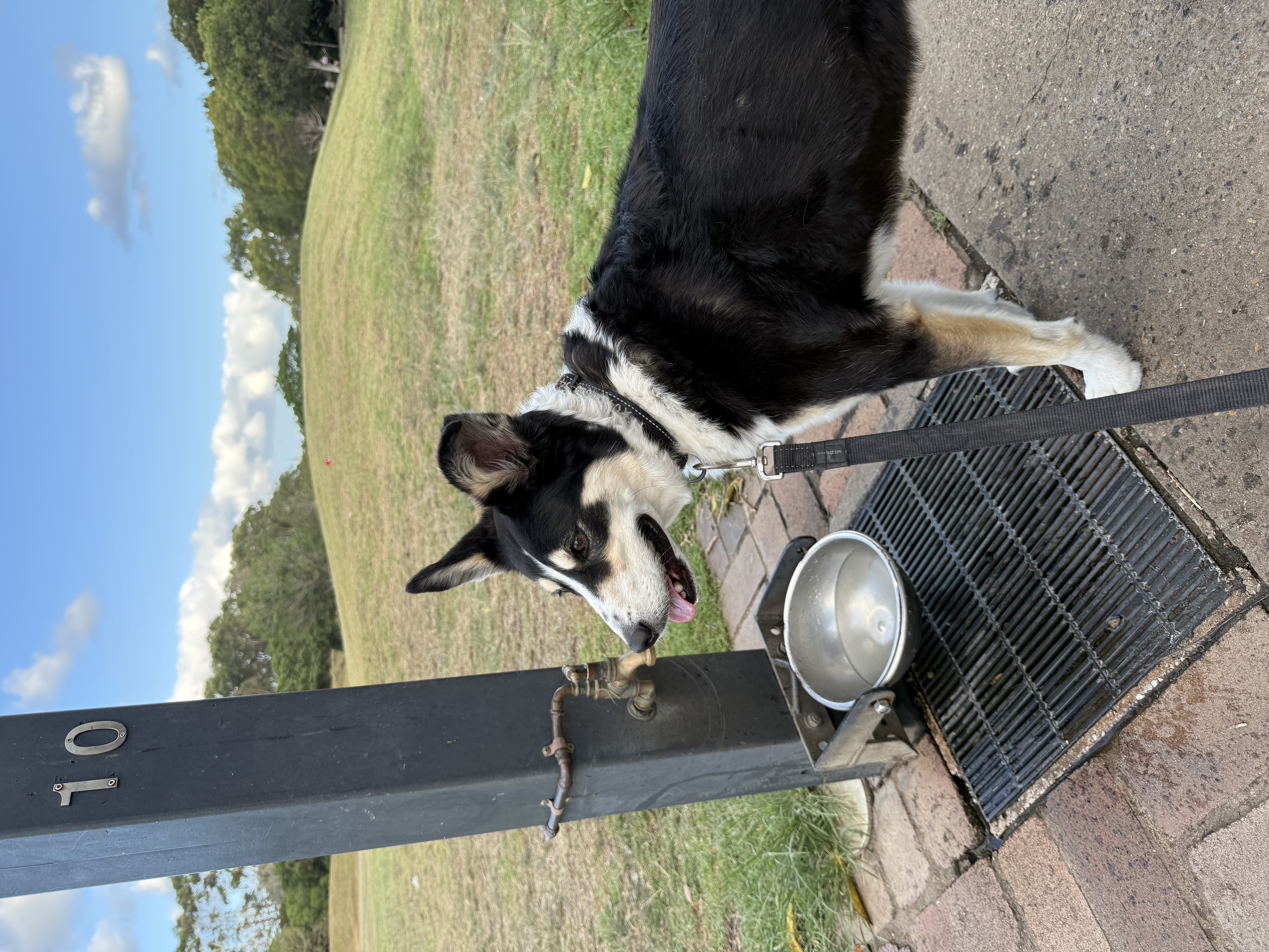 image-9
