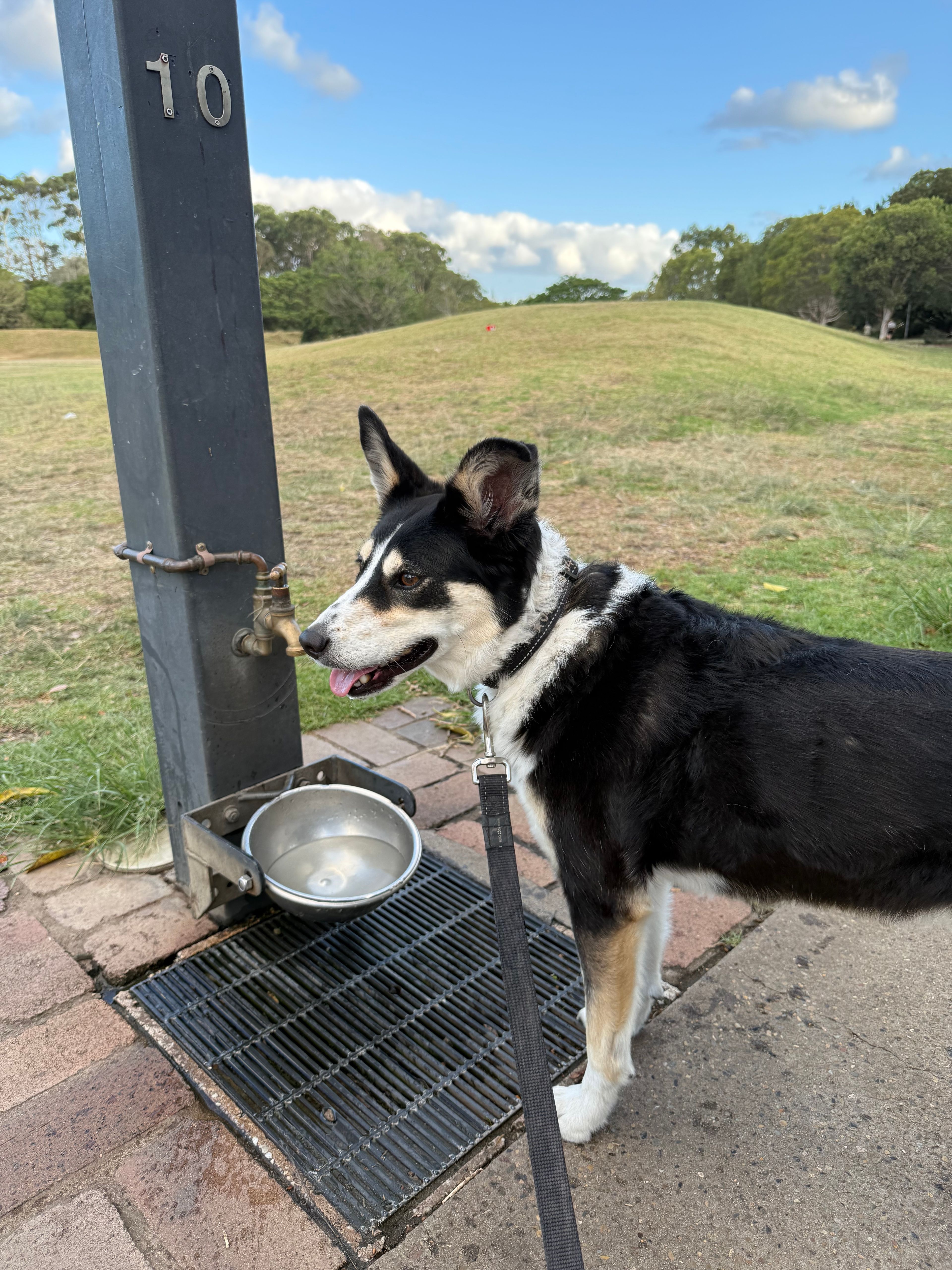 image-9