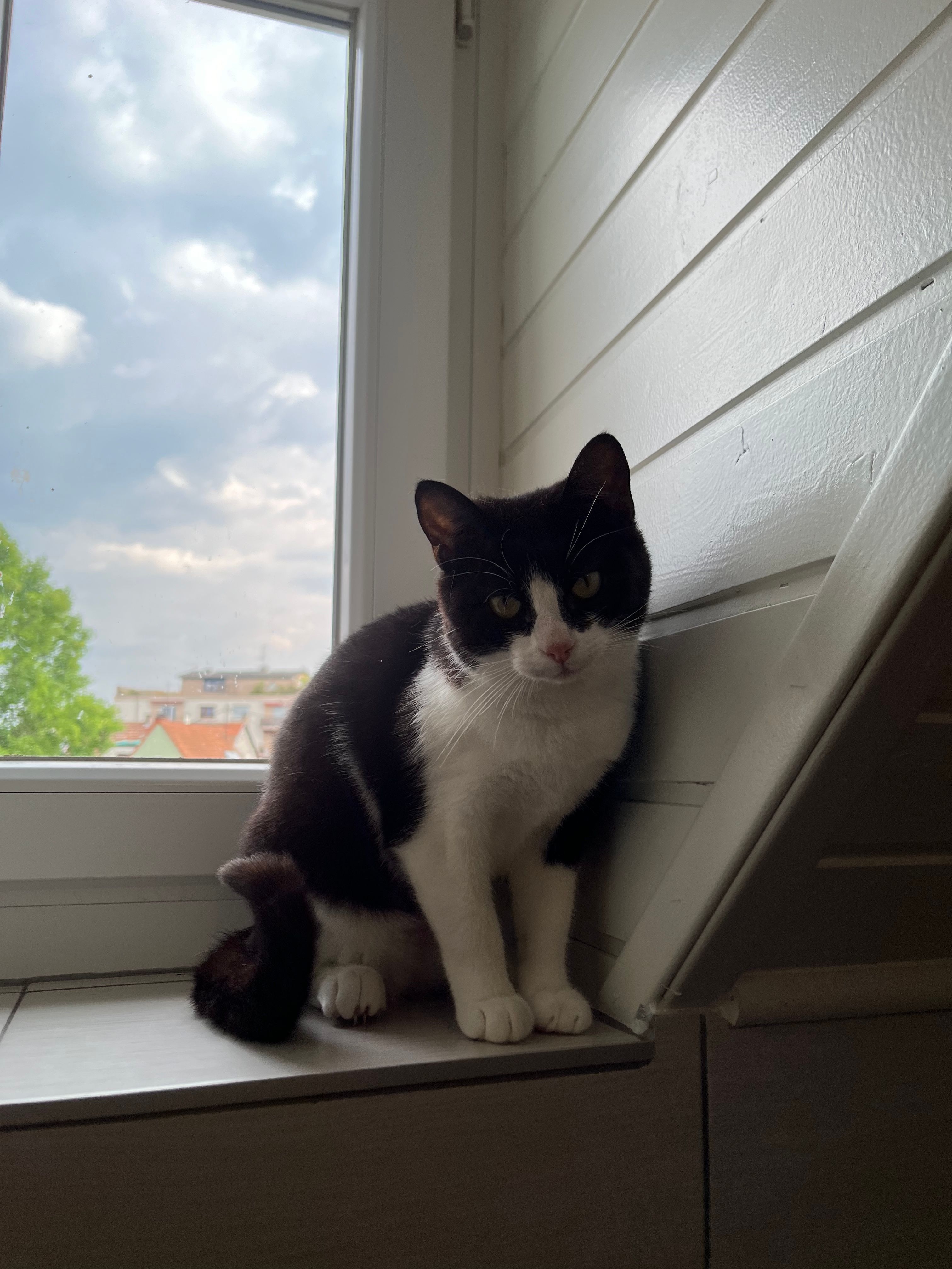 image-11