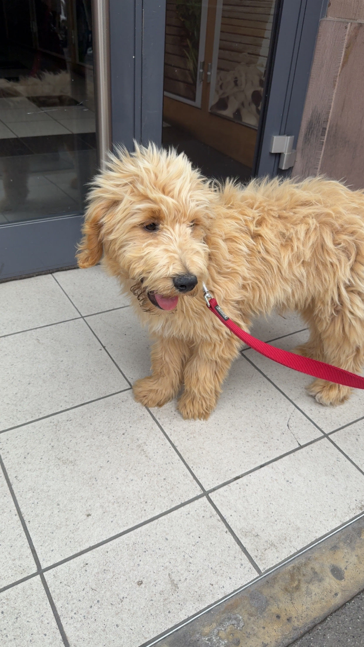 image-4