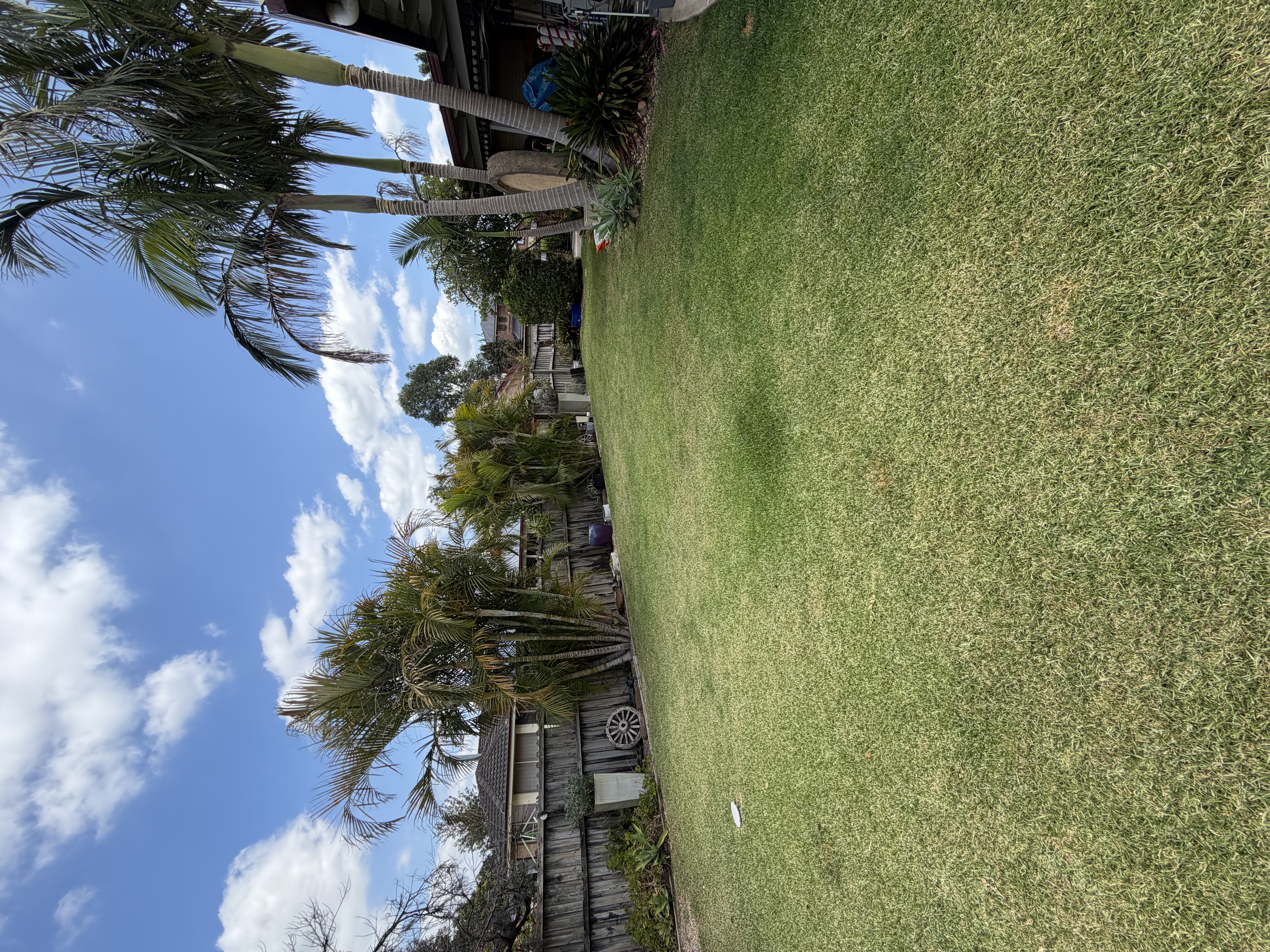 image-17