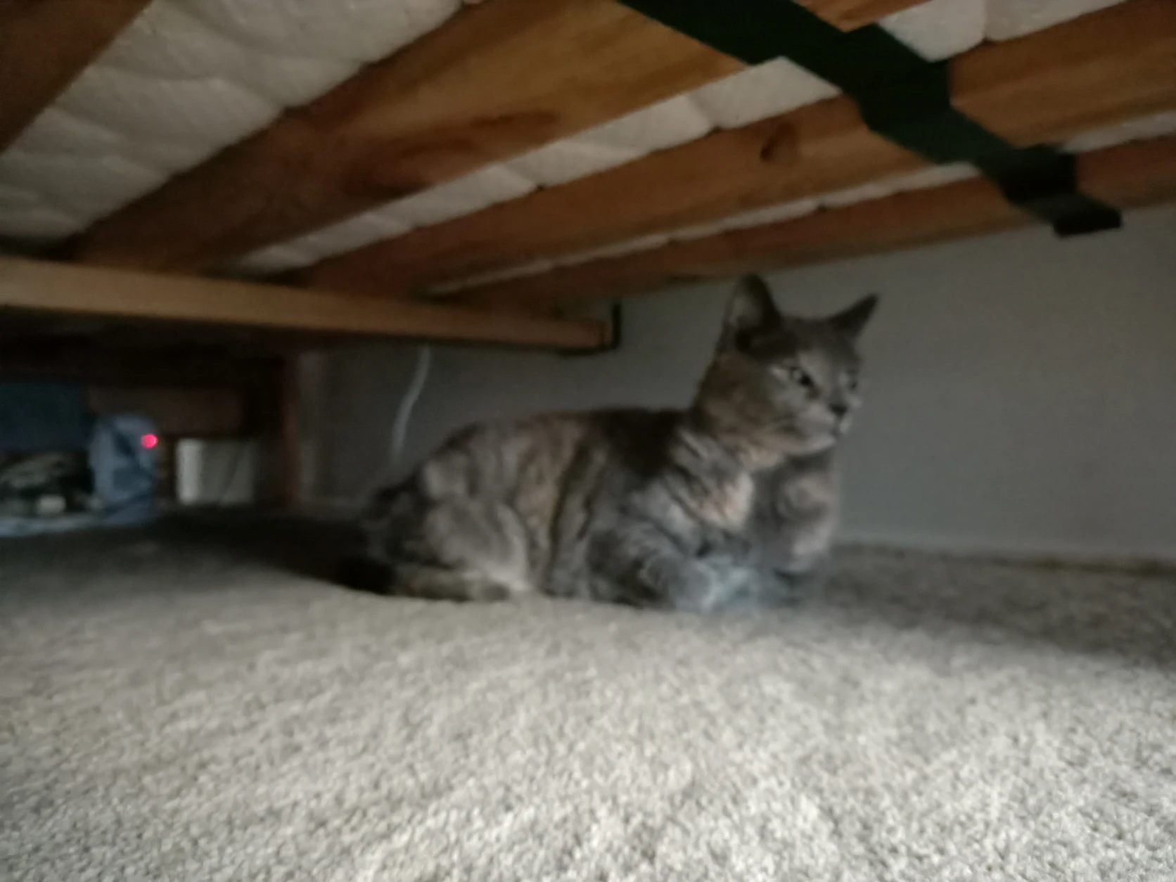 image-16