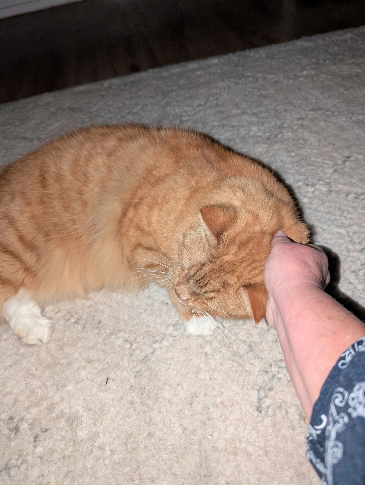 image-16