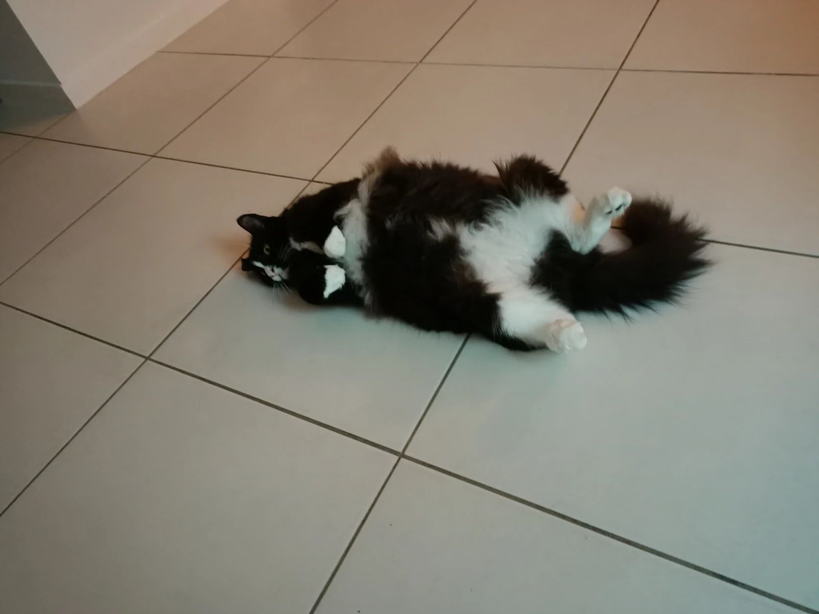 image-4
