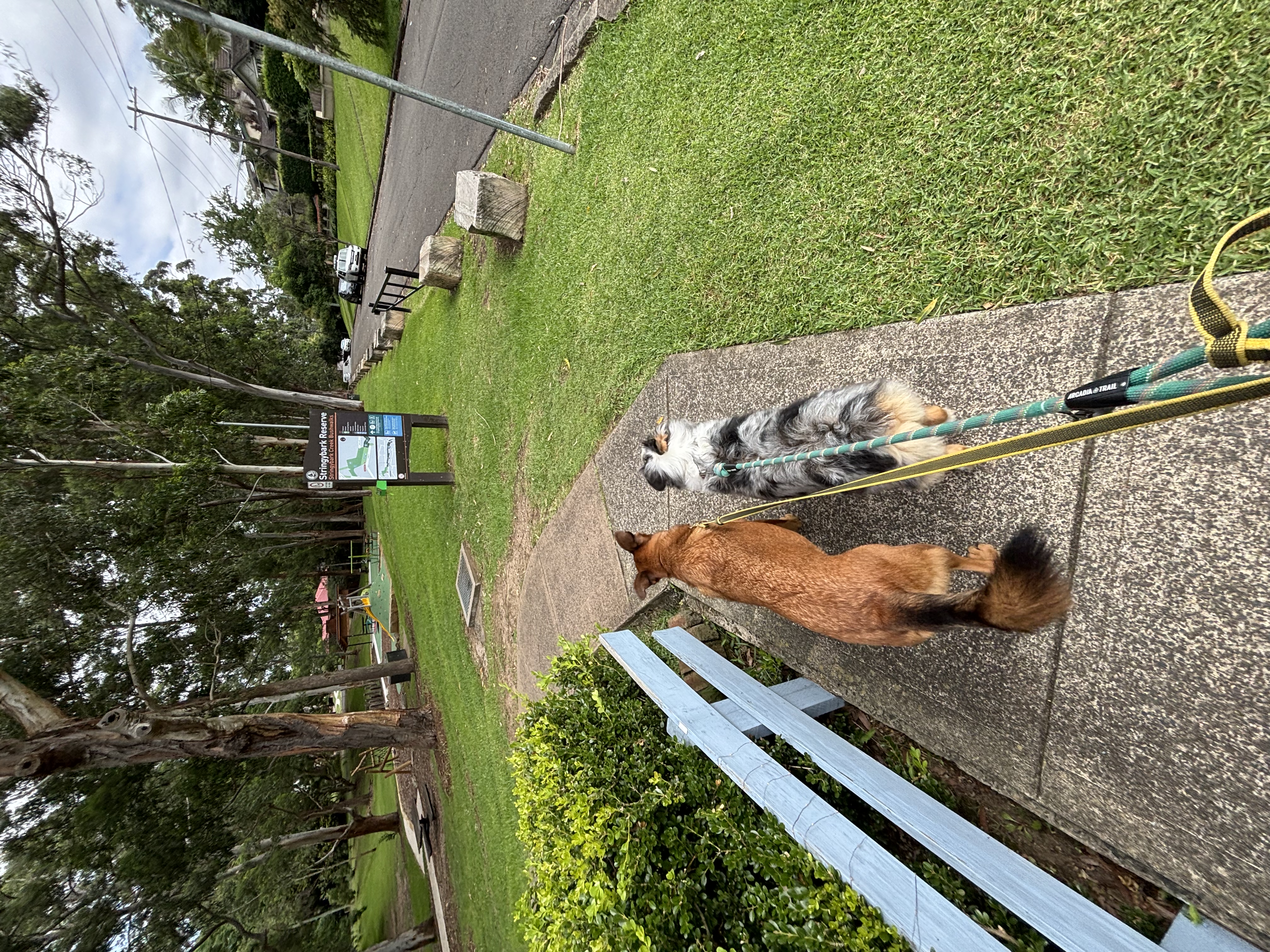 image-13