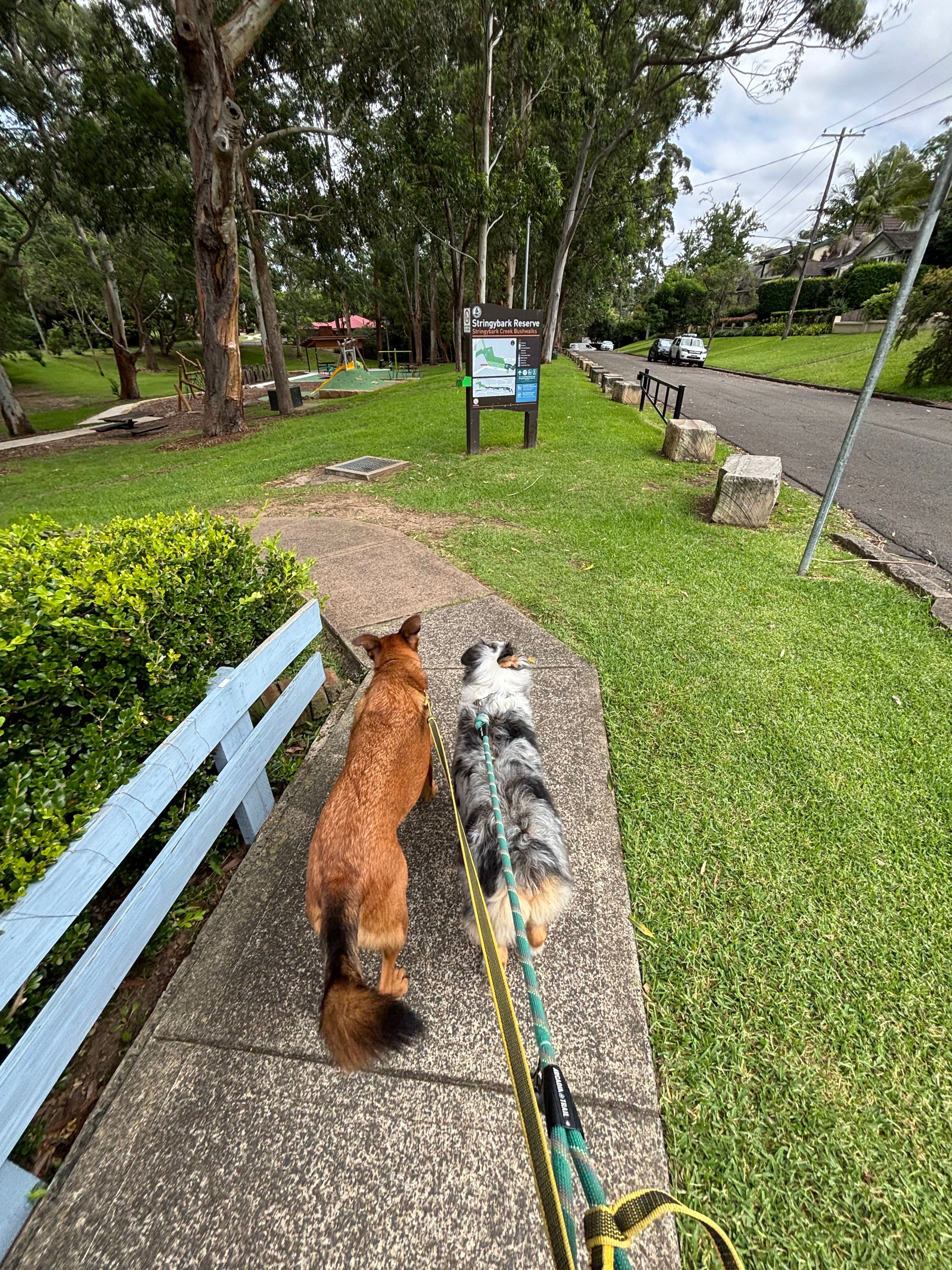 image-13