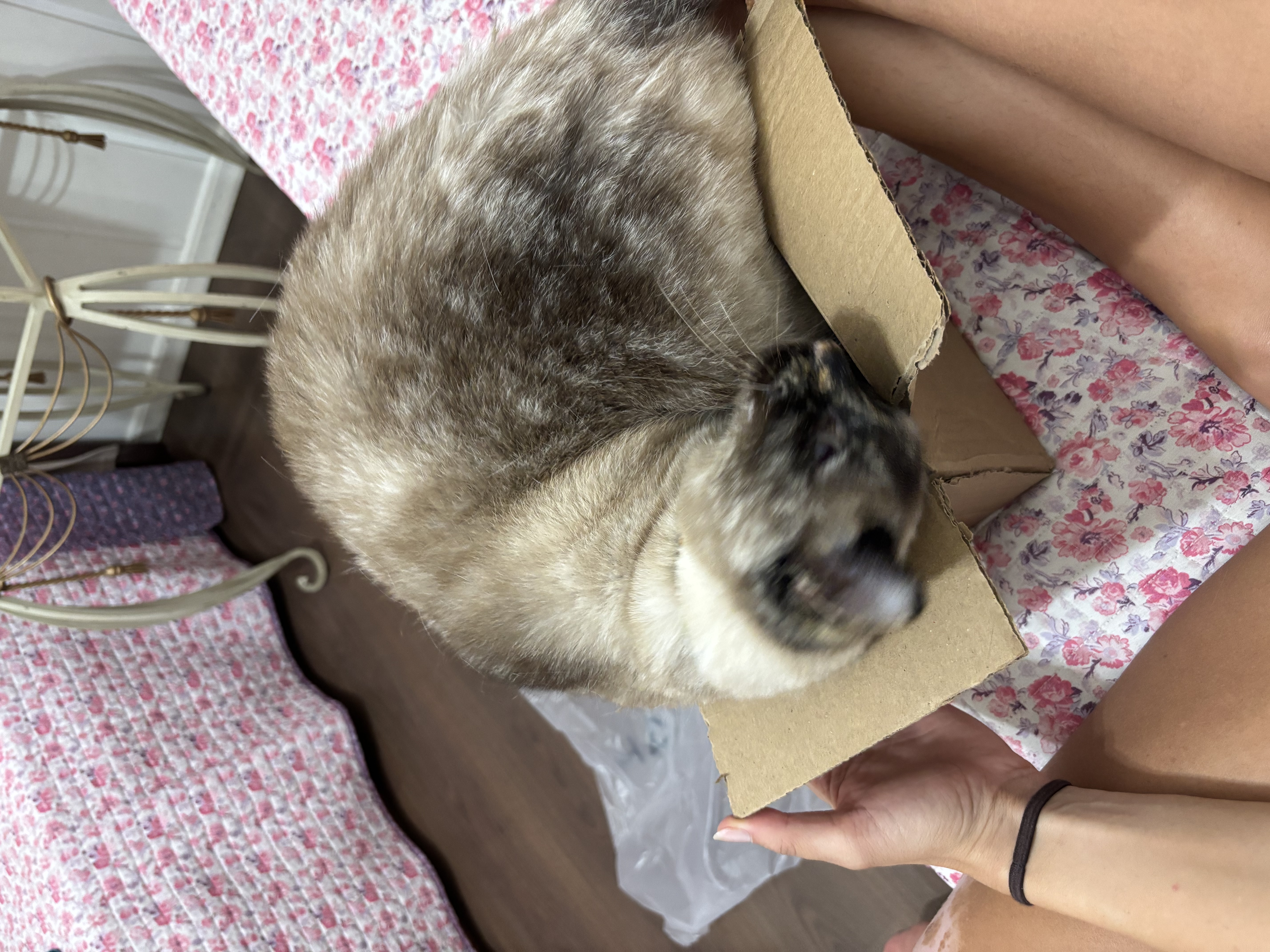 image-4