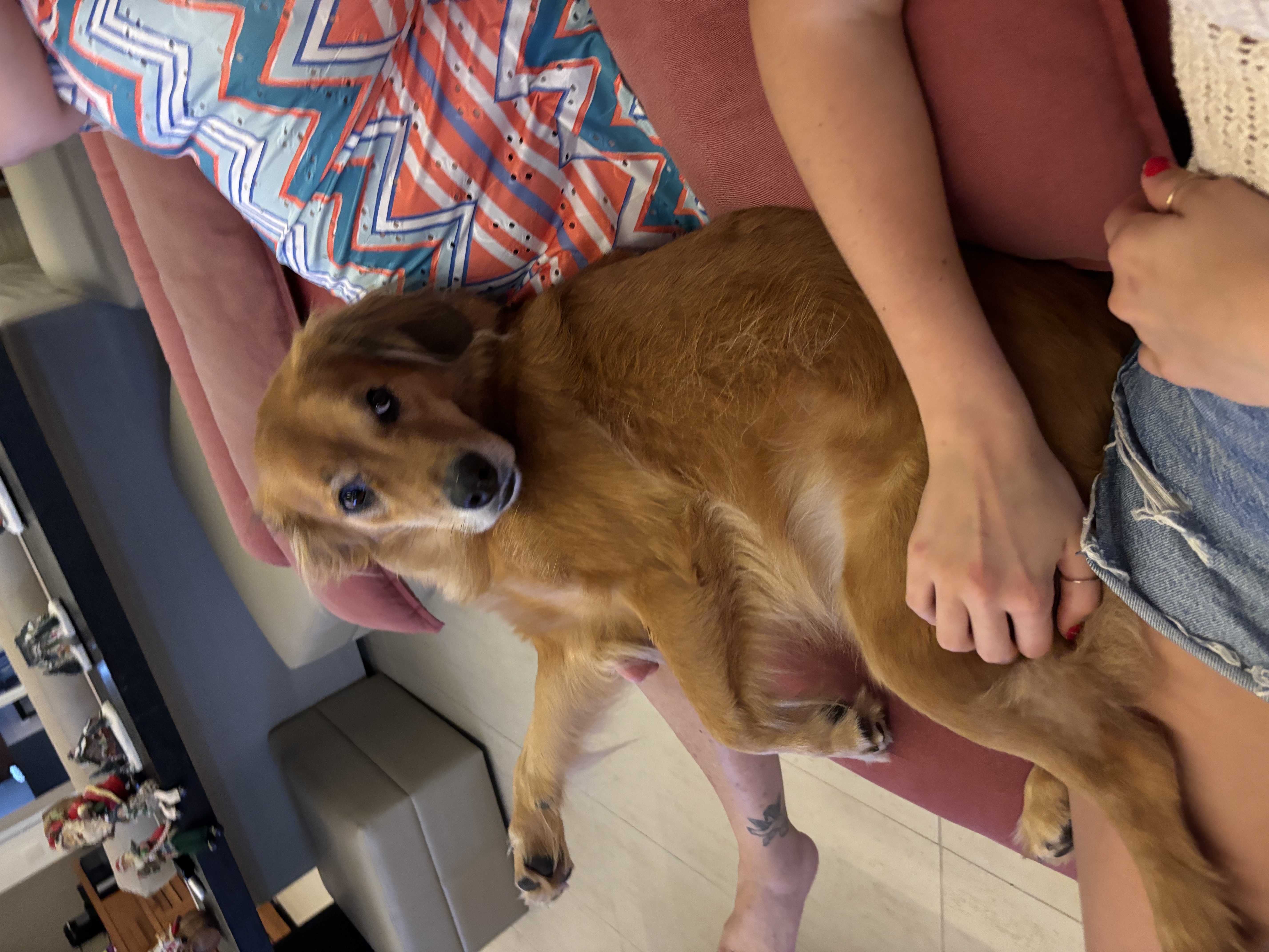 image-8