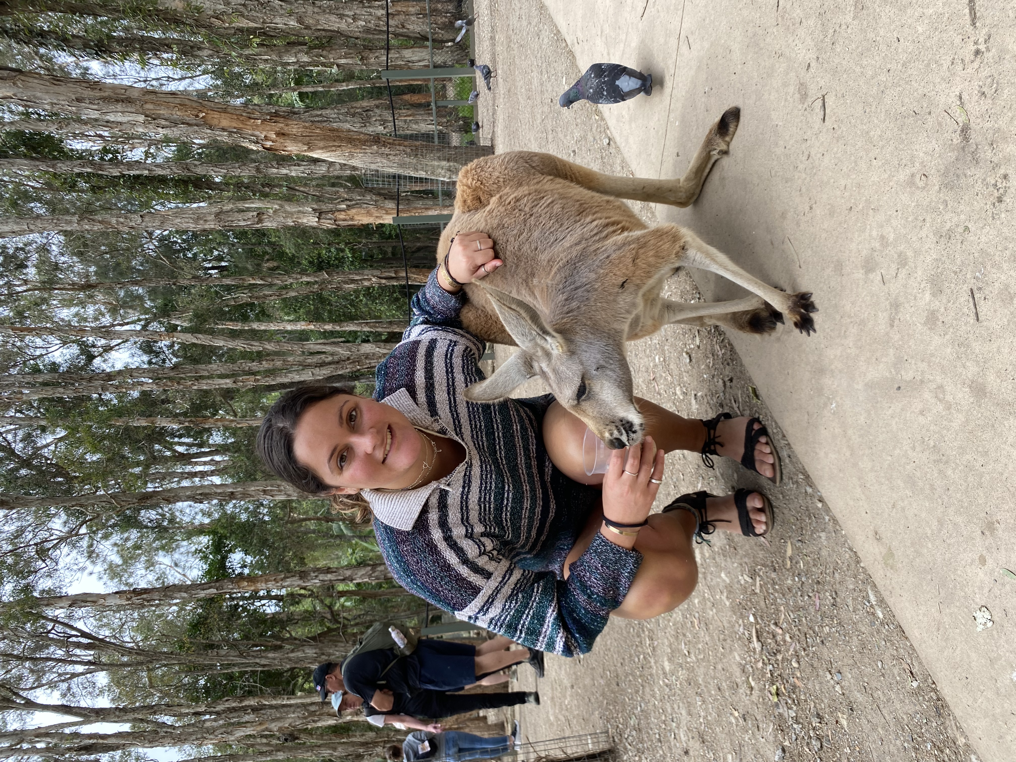 image-5