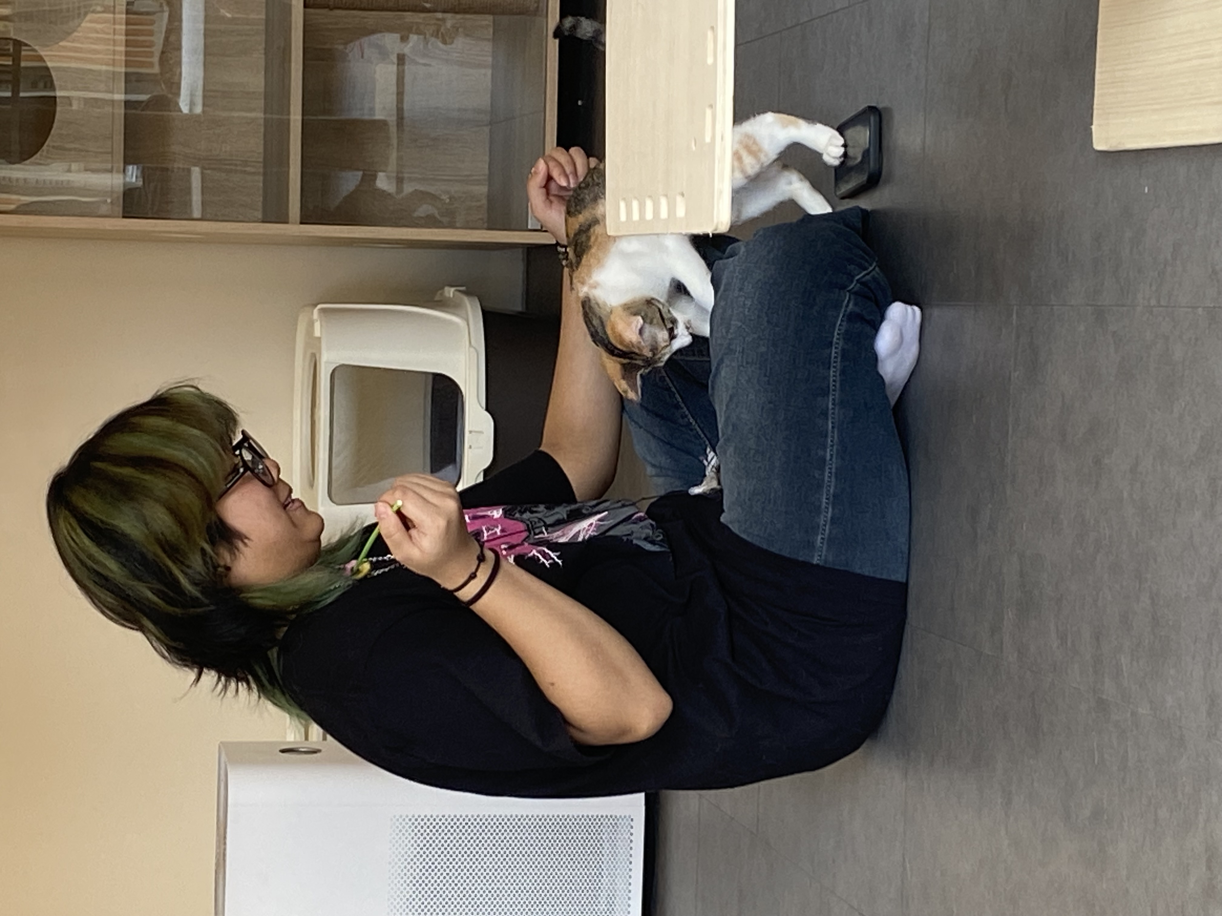 image-8