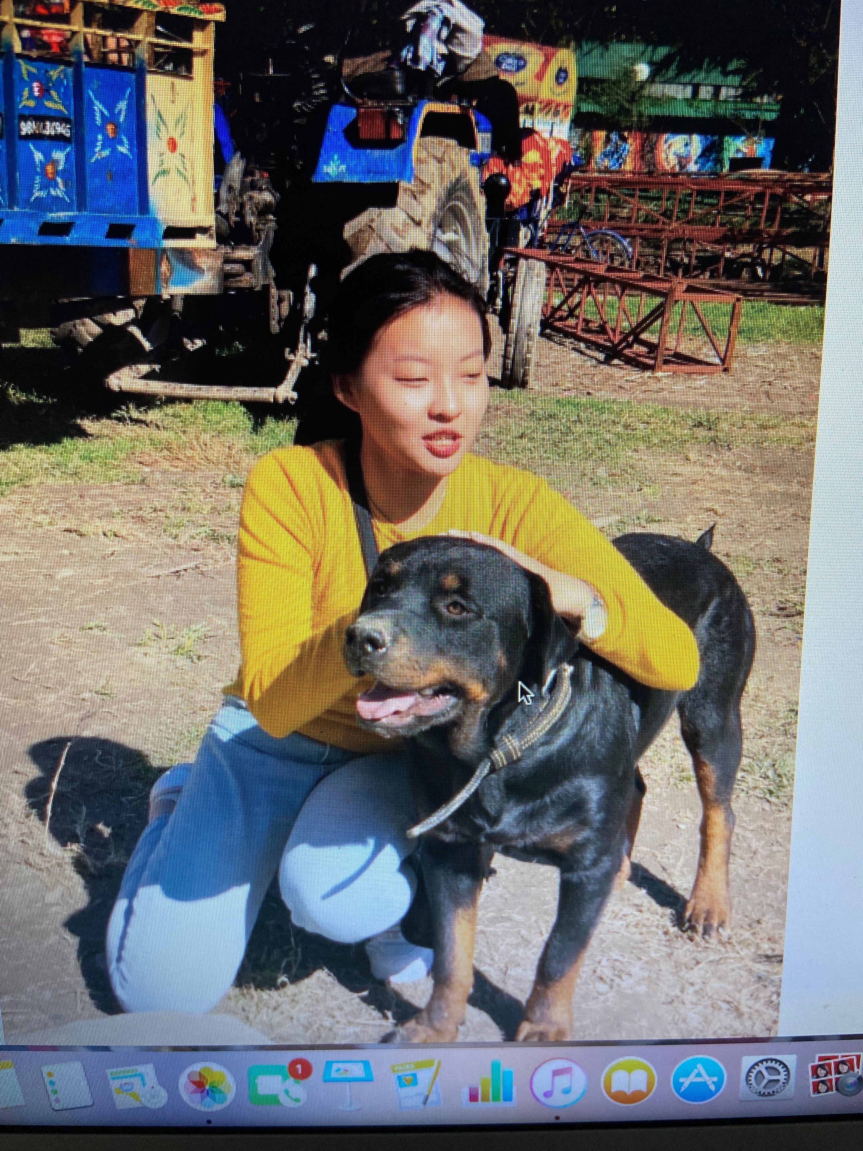 image-3