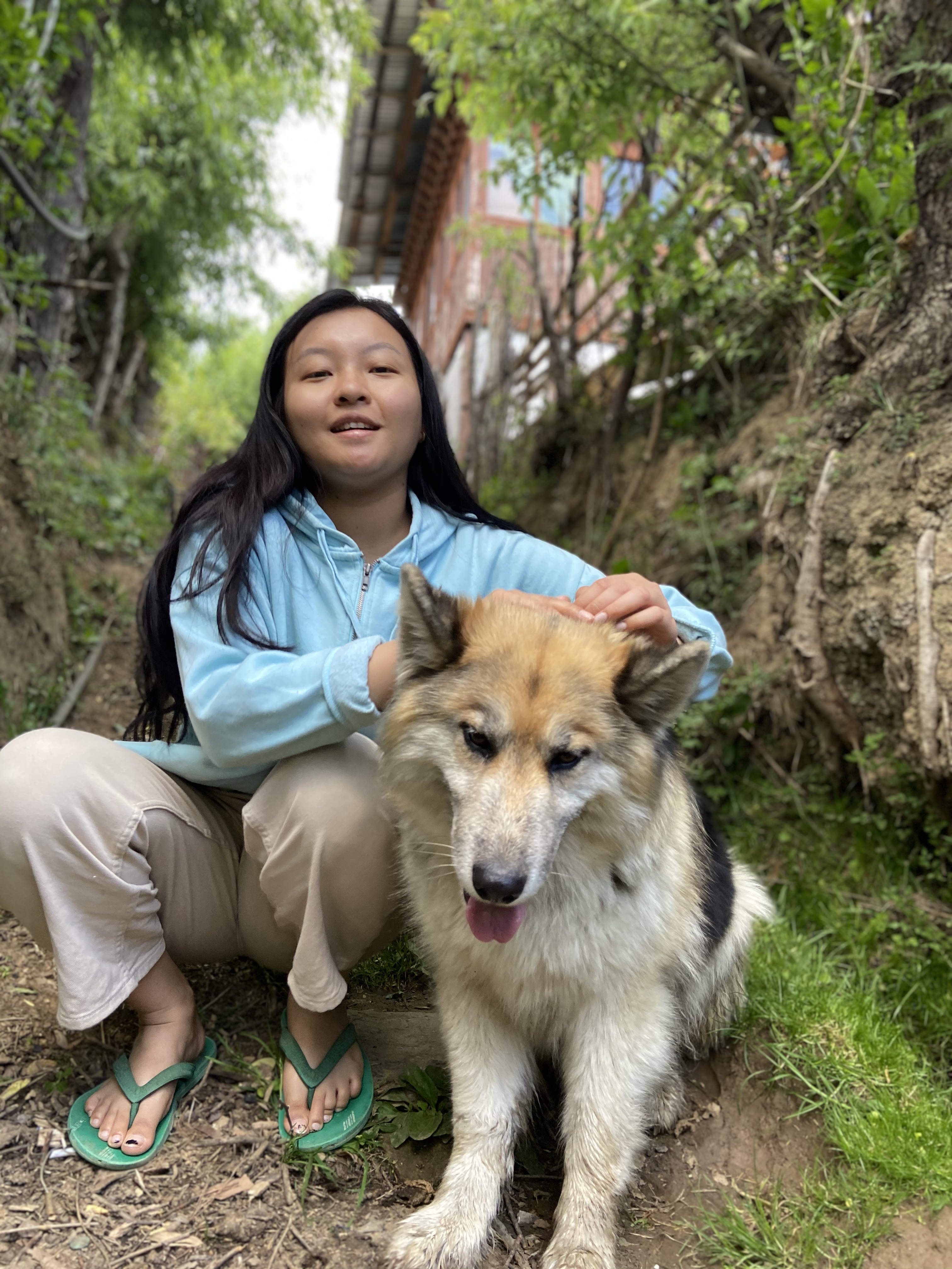 image-6