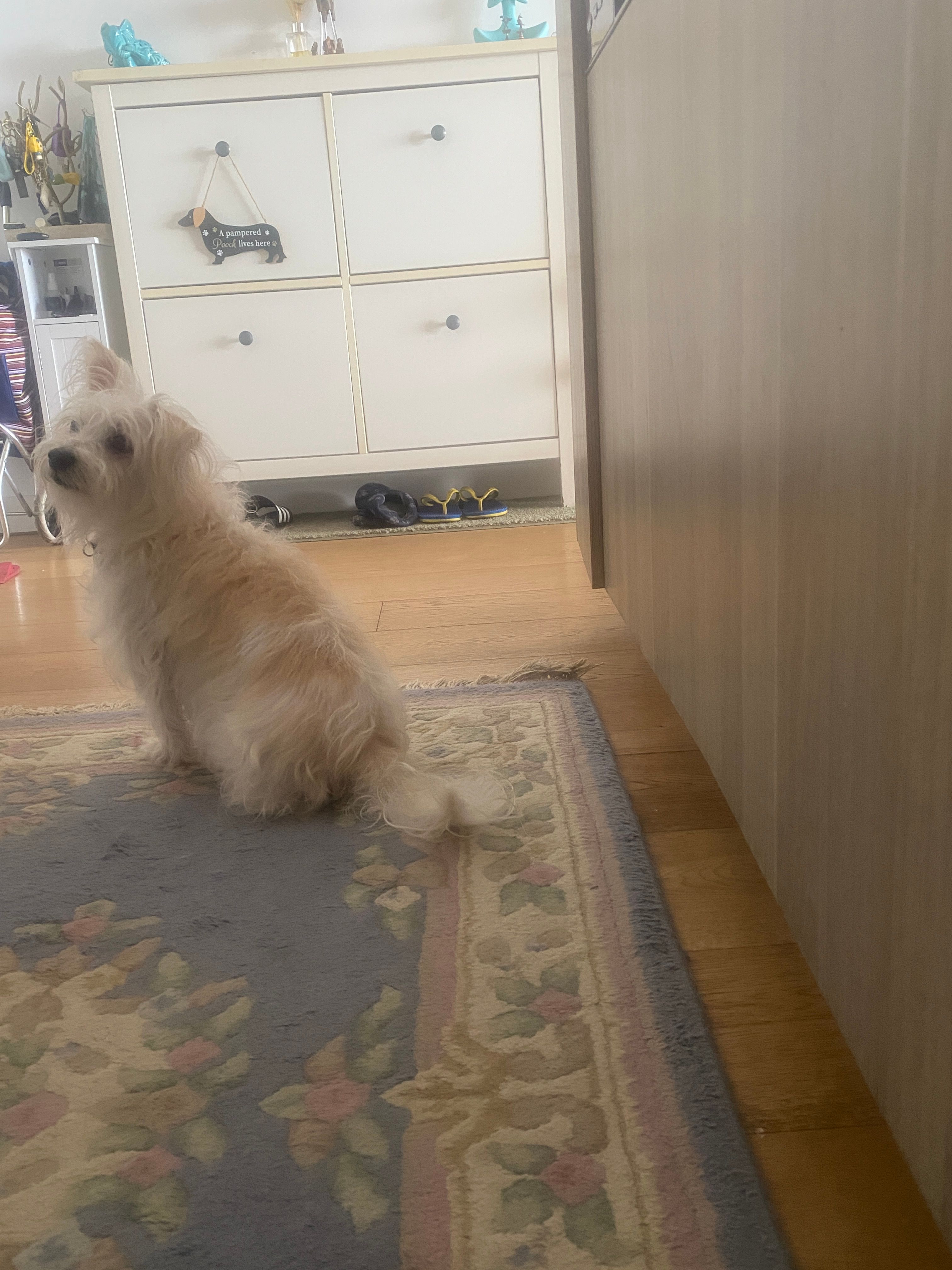 image-18