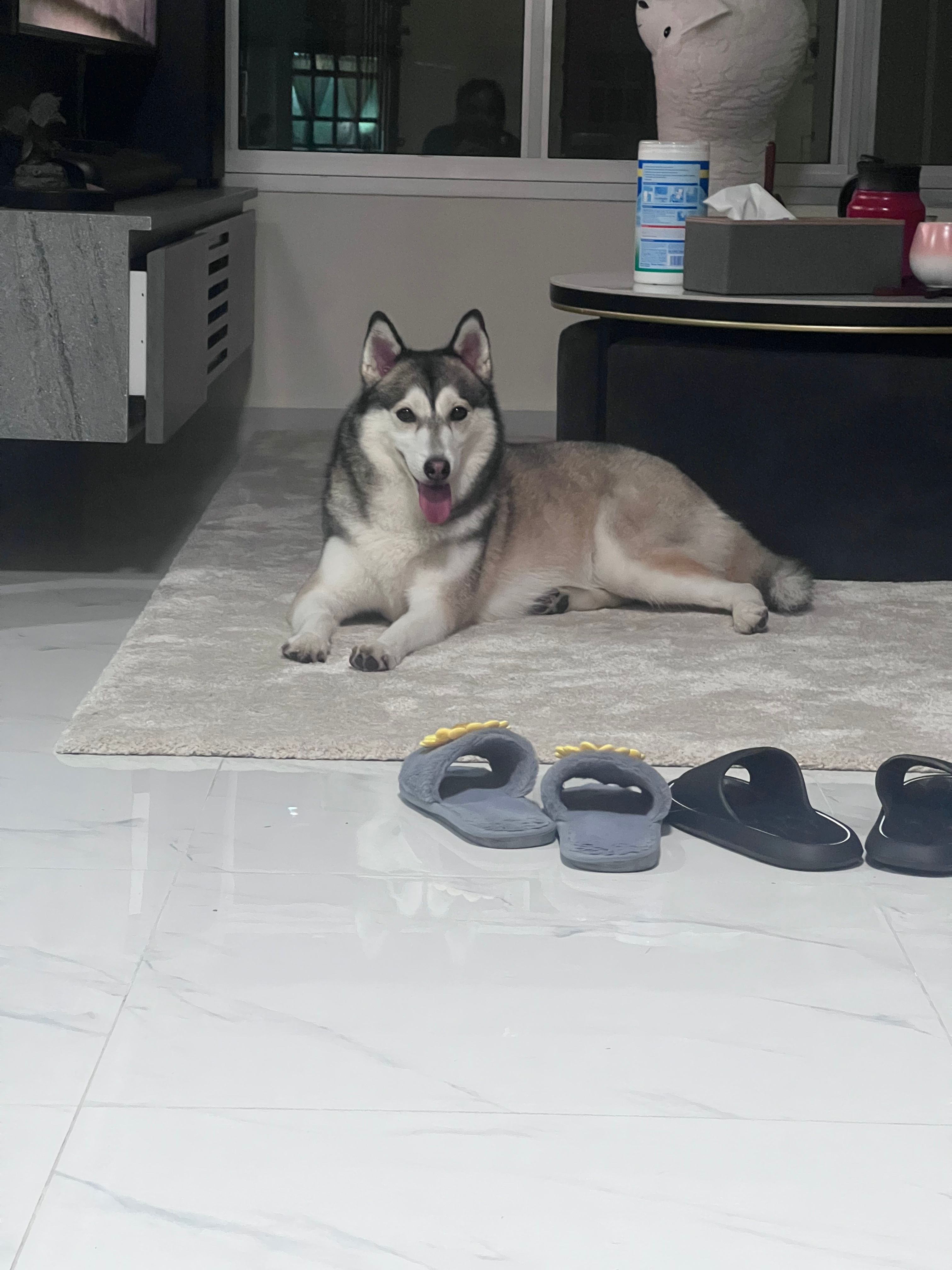 image-14