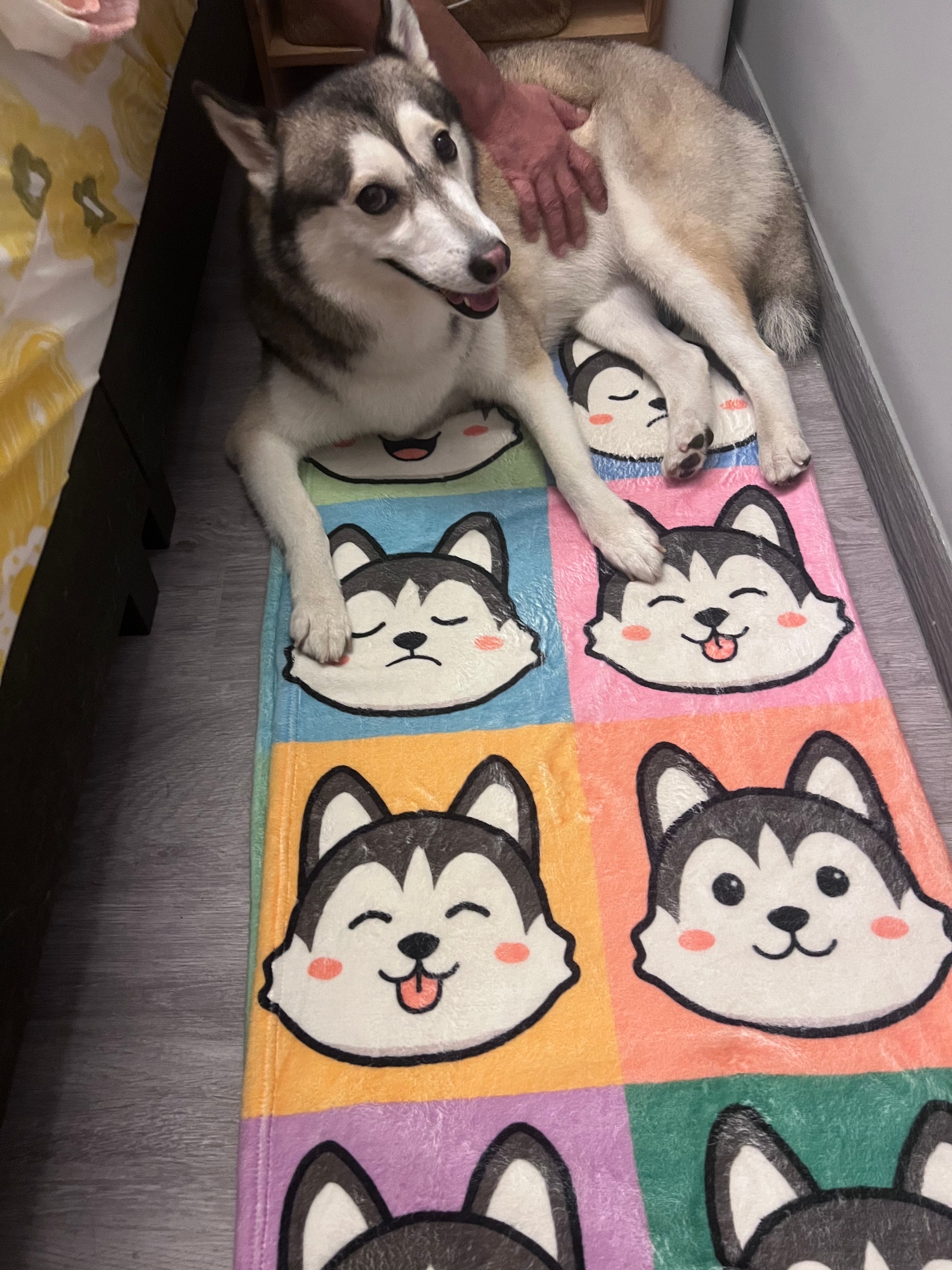 image-6