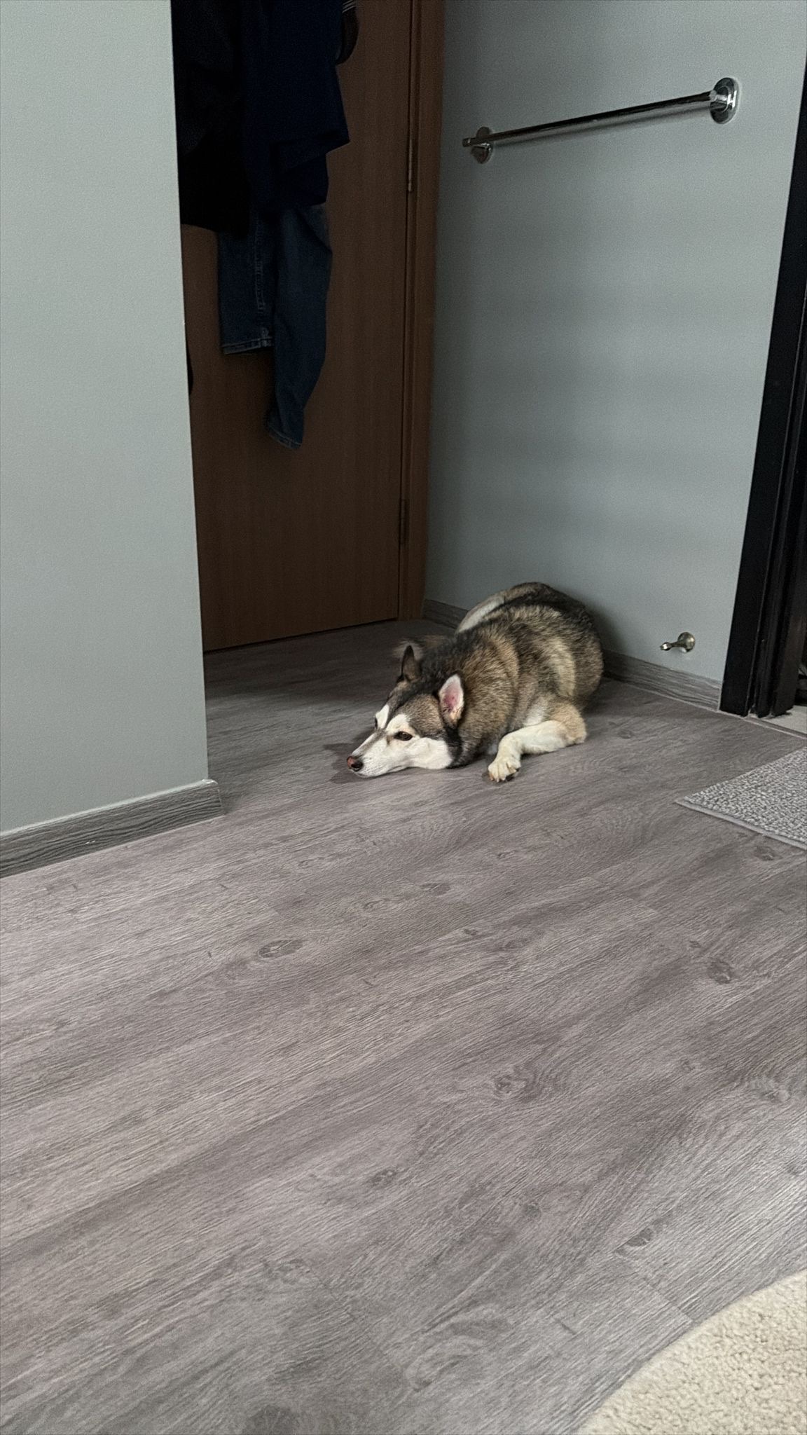 image-16